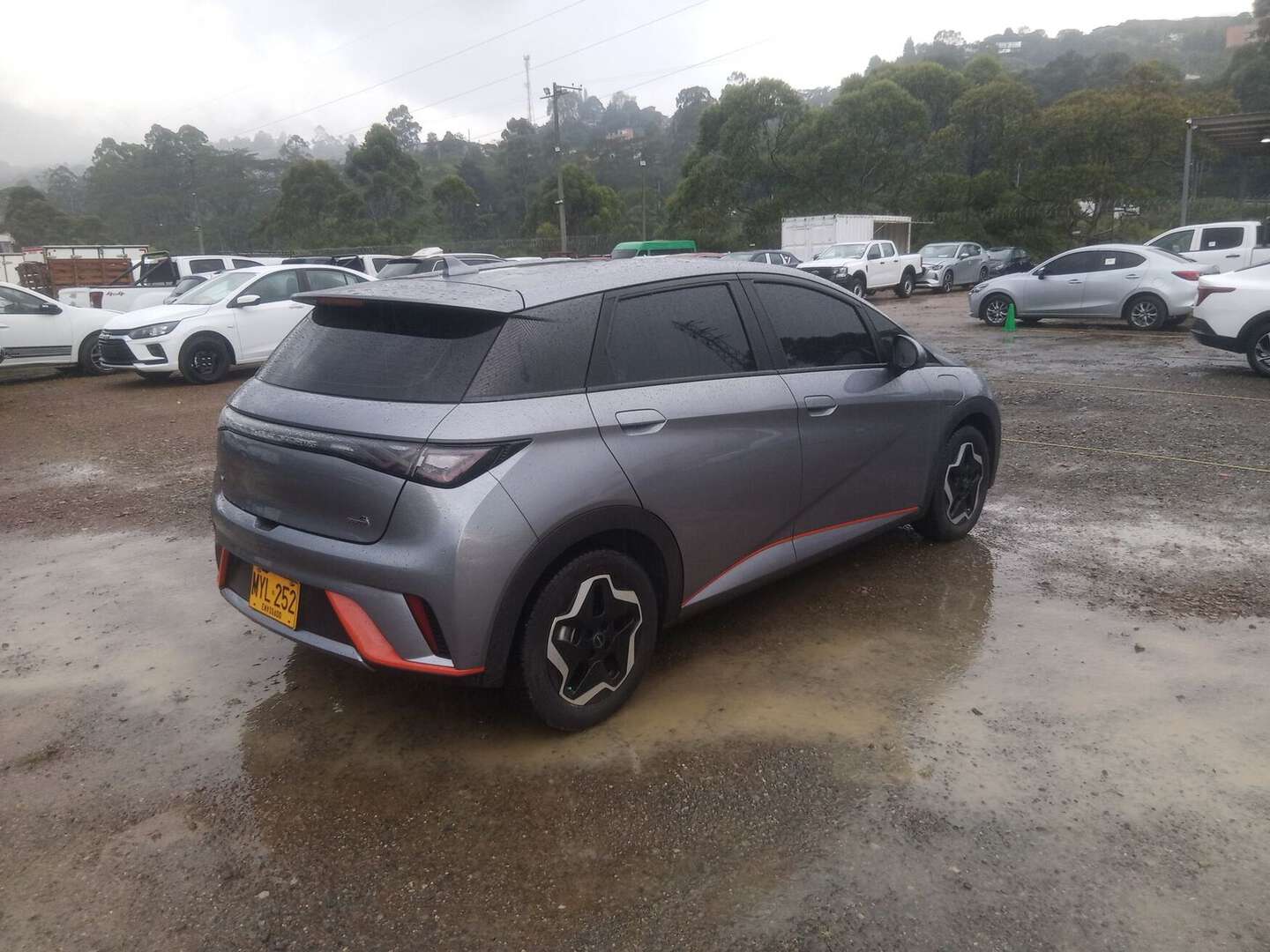 BYD - DOLPHIN 400 - 2024