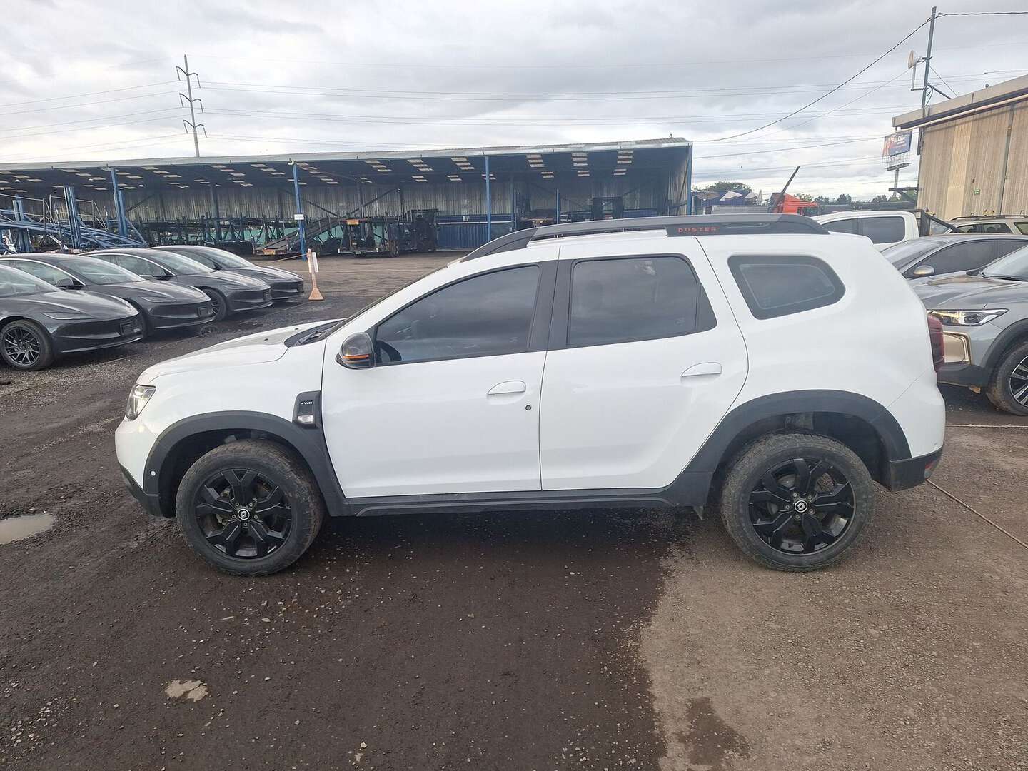 Renault - Duster - 2026