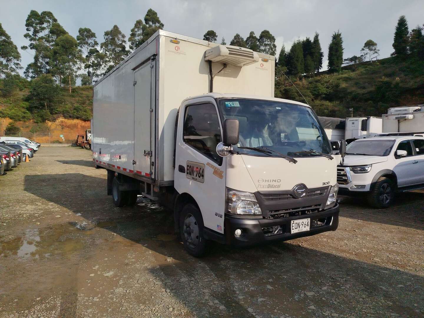 Hino - Dutro - 2017