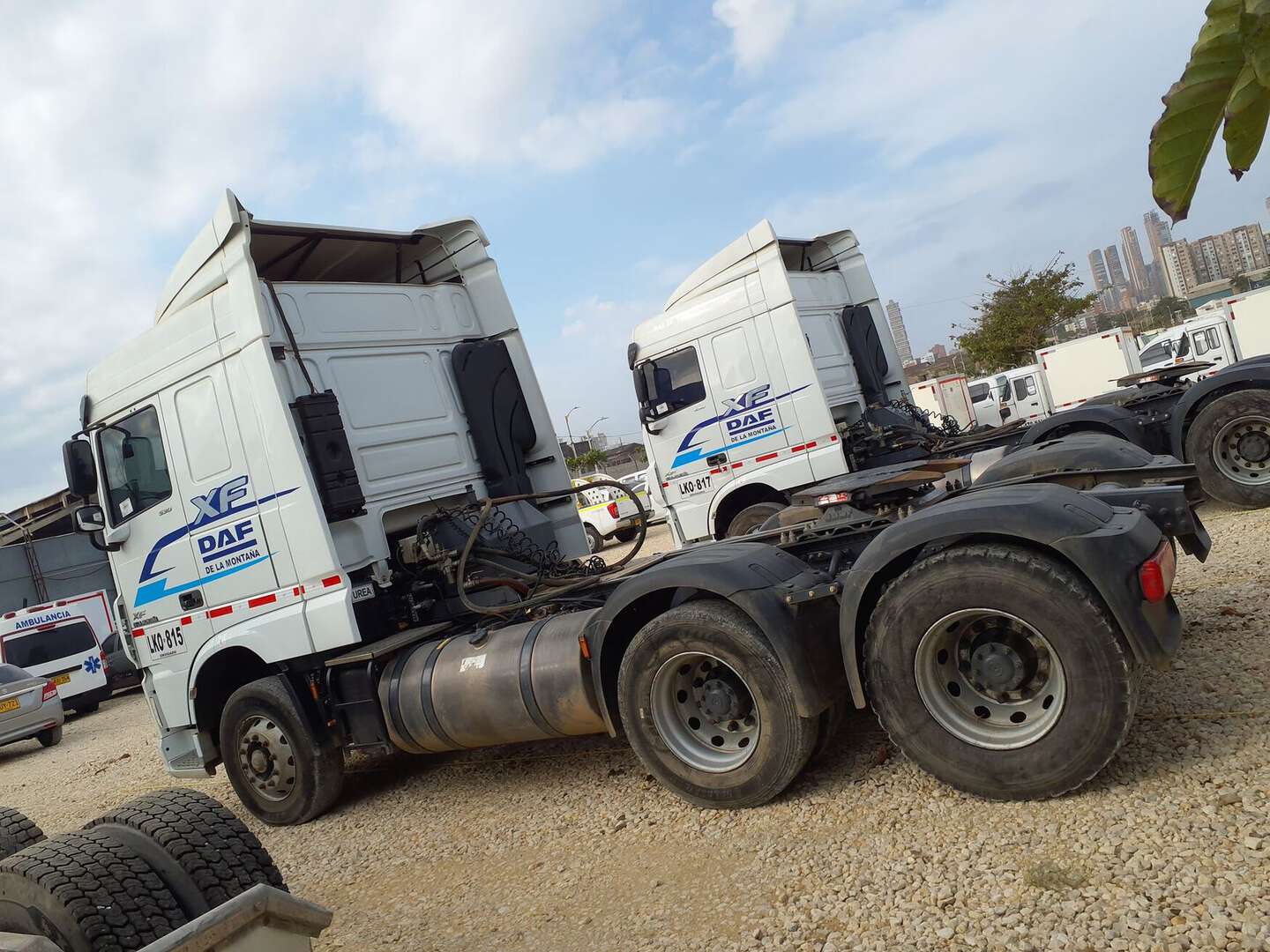 DAF - DAF XF530 - 2023