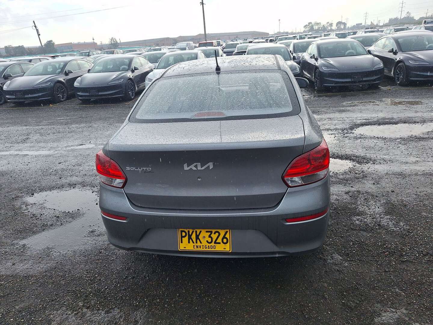 Kia - Soluto - 2026