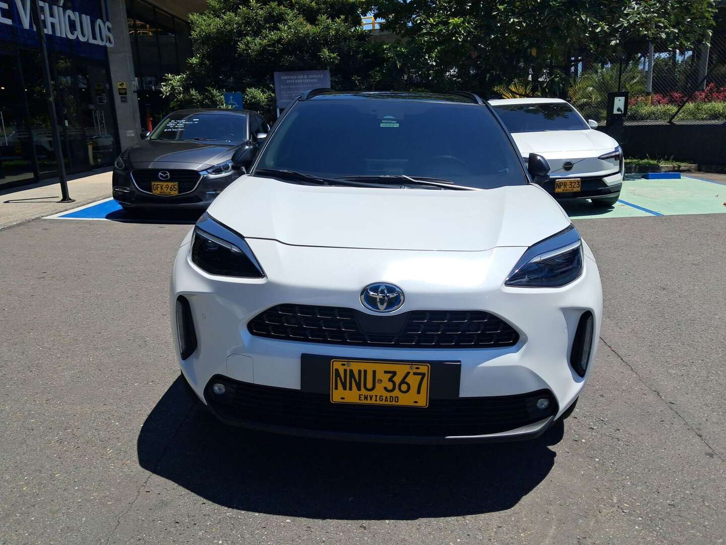 Toyota - Yaris - 2024