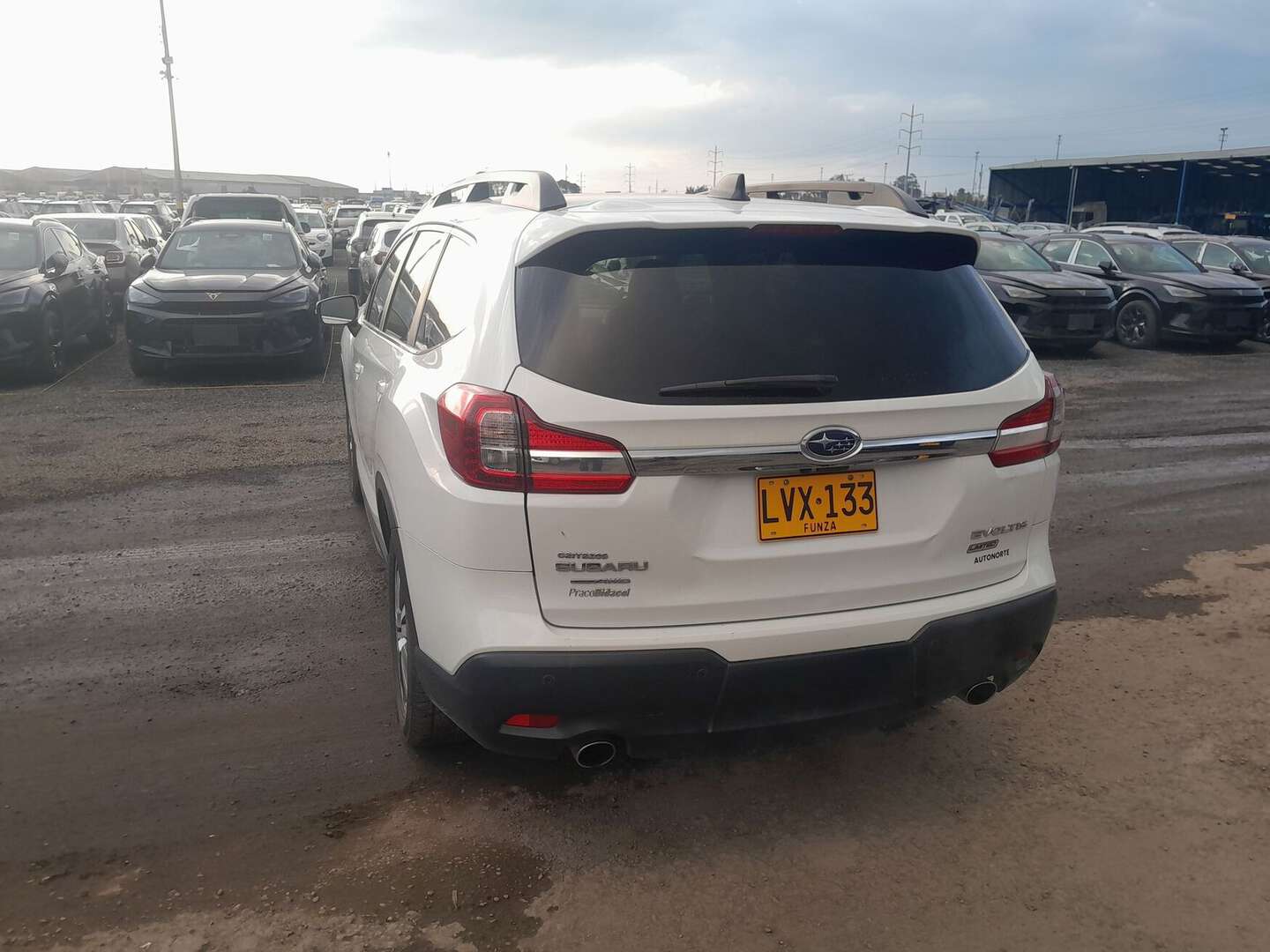 Subaru - Evoltis - 2022