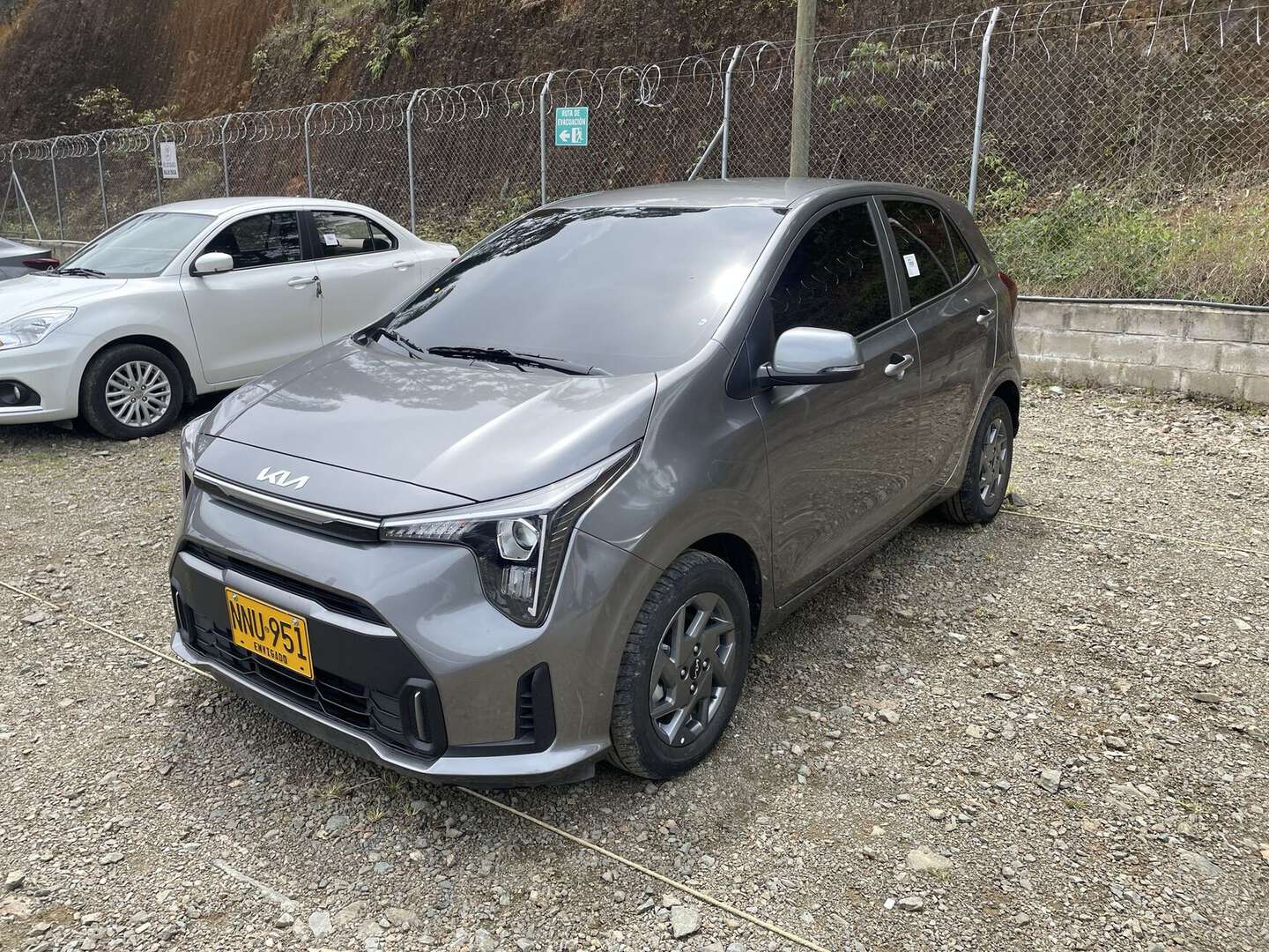 Kia - Picanto - 2025