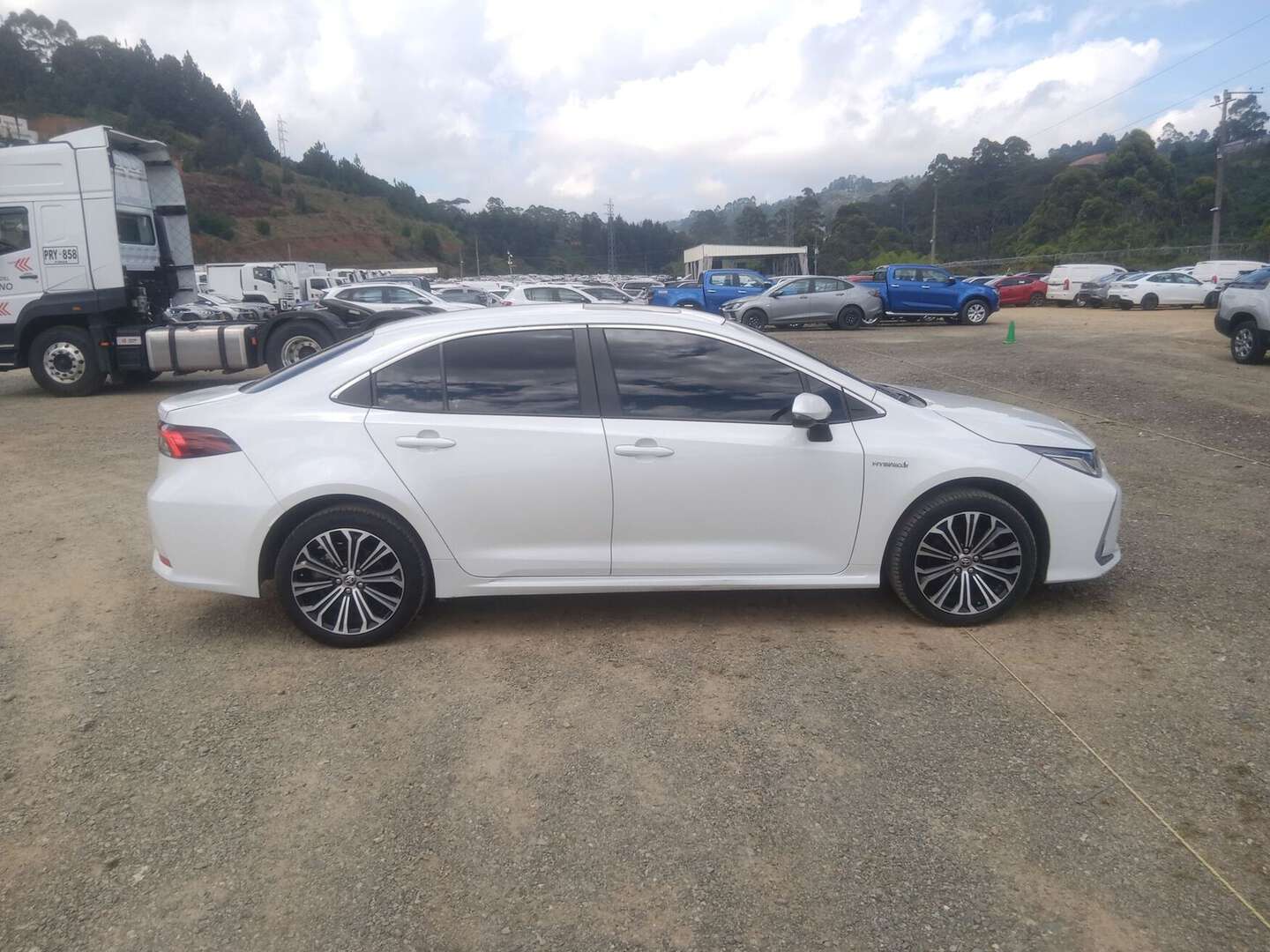 Toyota - Corolla - 2023