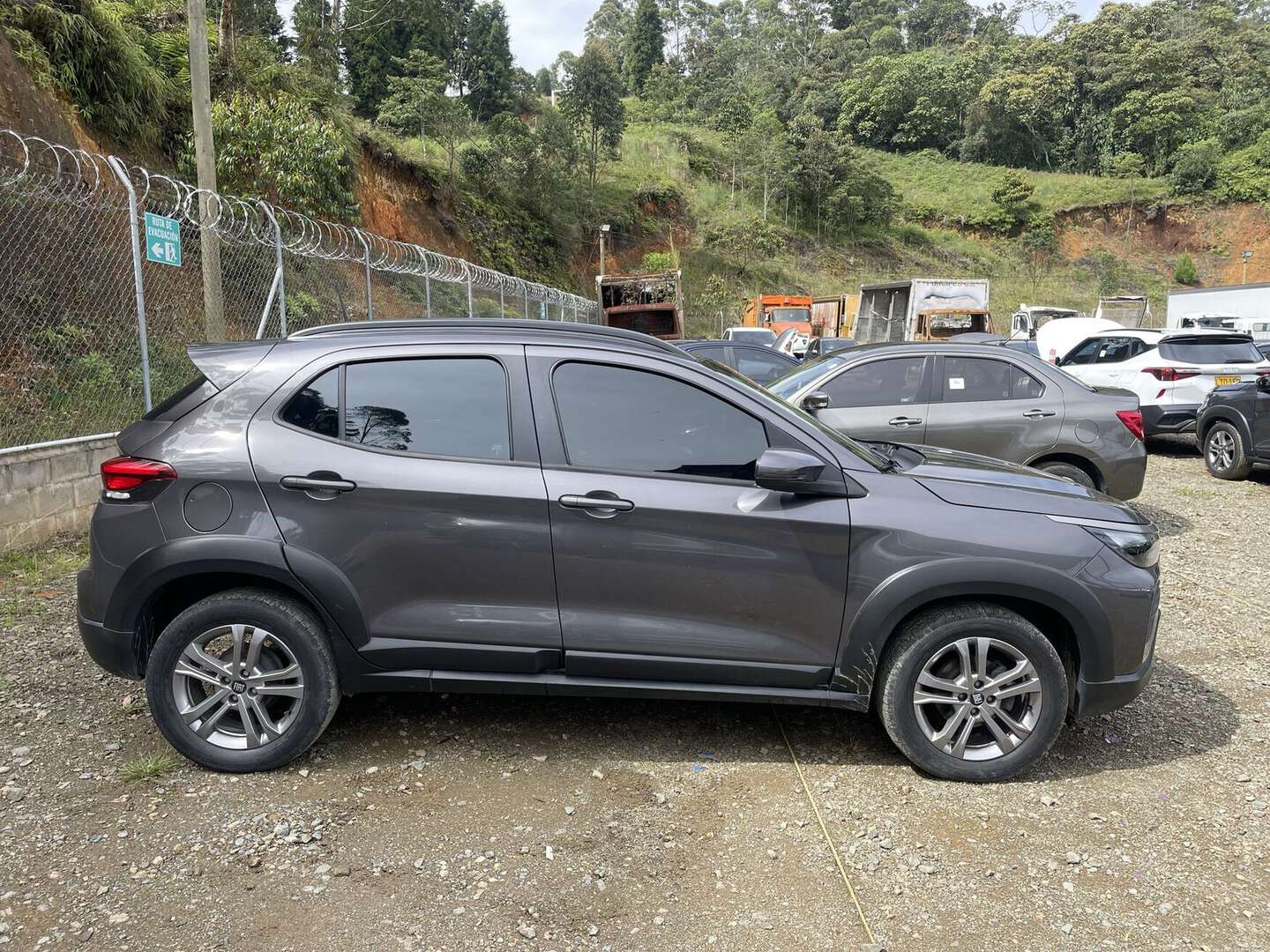 Fiat - PULSE - 2023