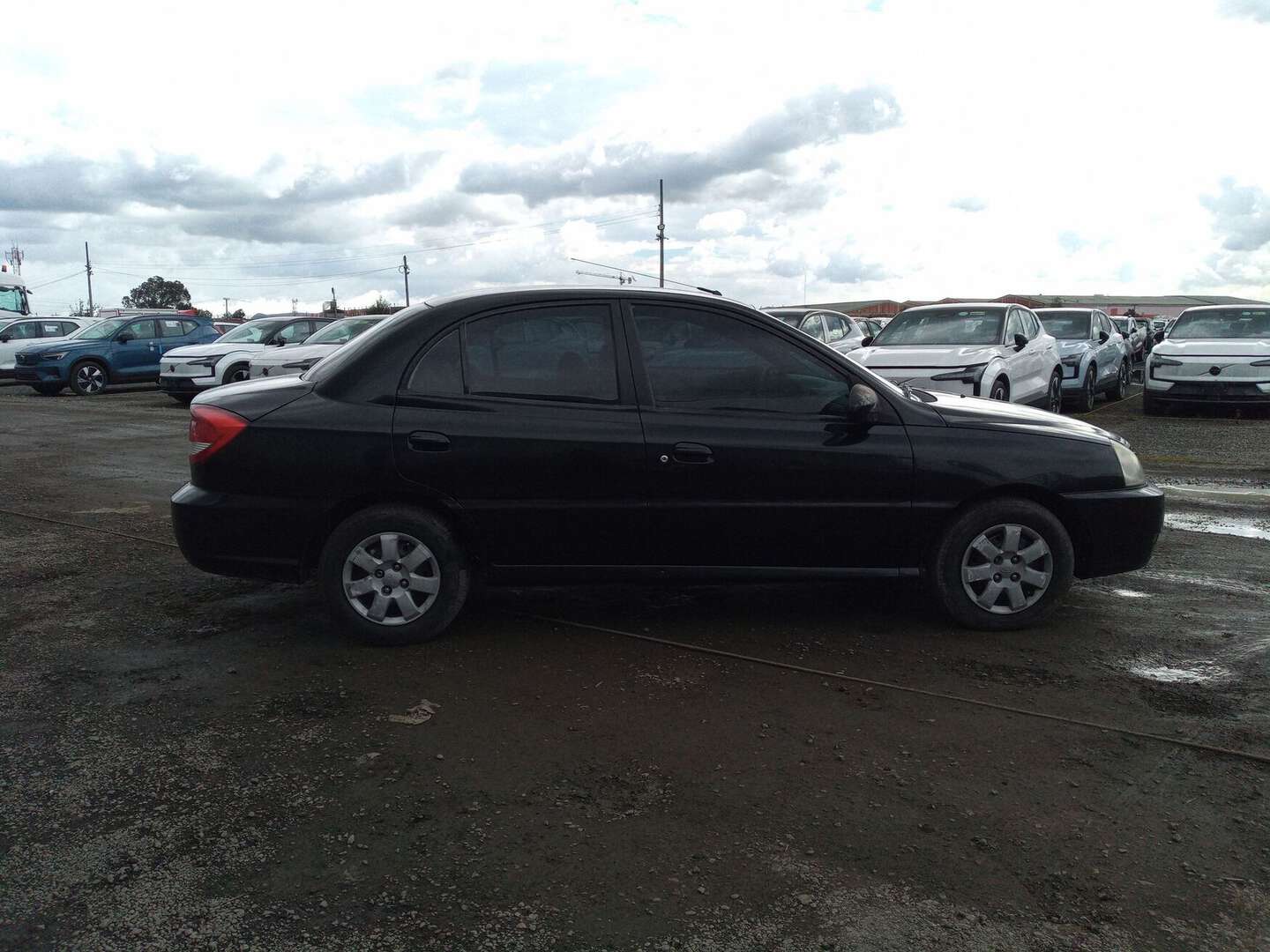 Kia - Rio - 2016