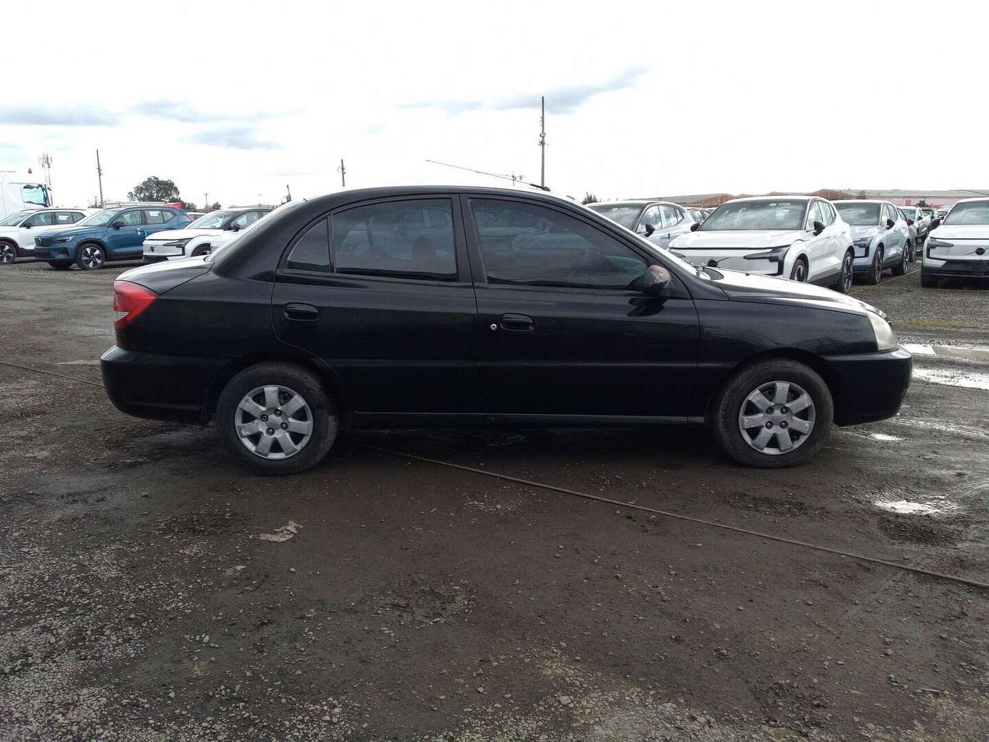 Kia - Rio - 2016