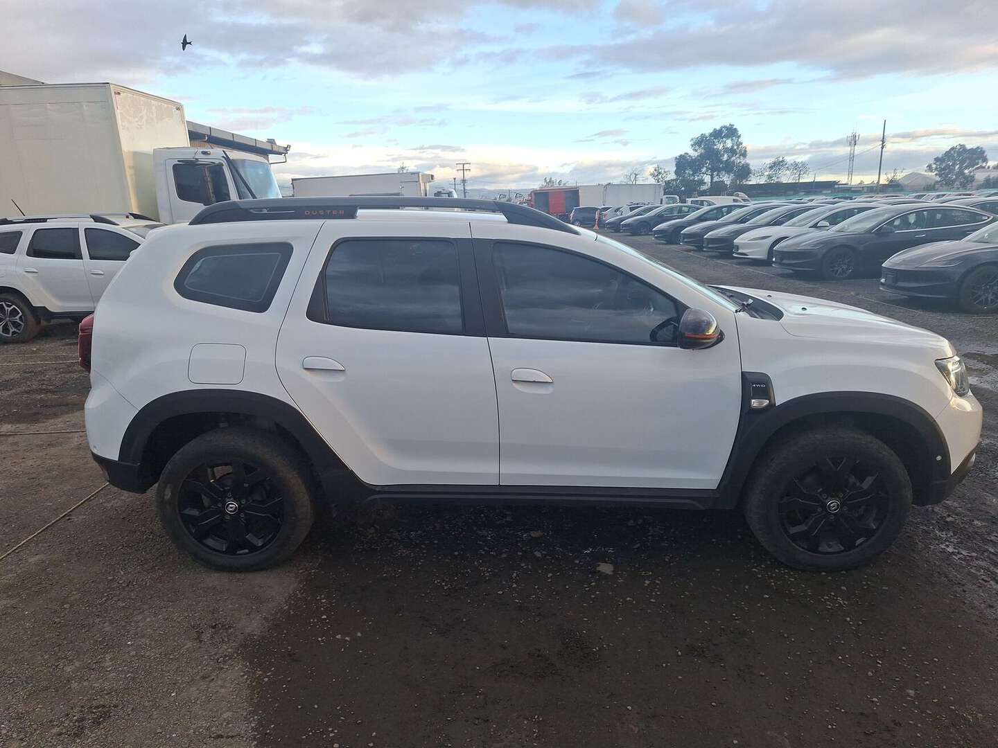 Renault - Duster - 2026