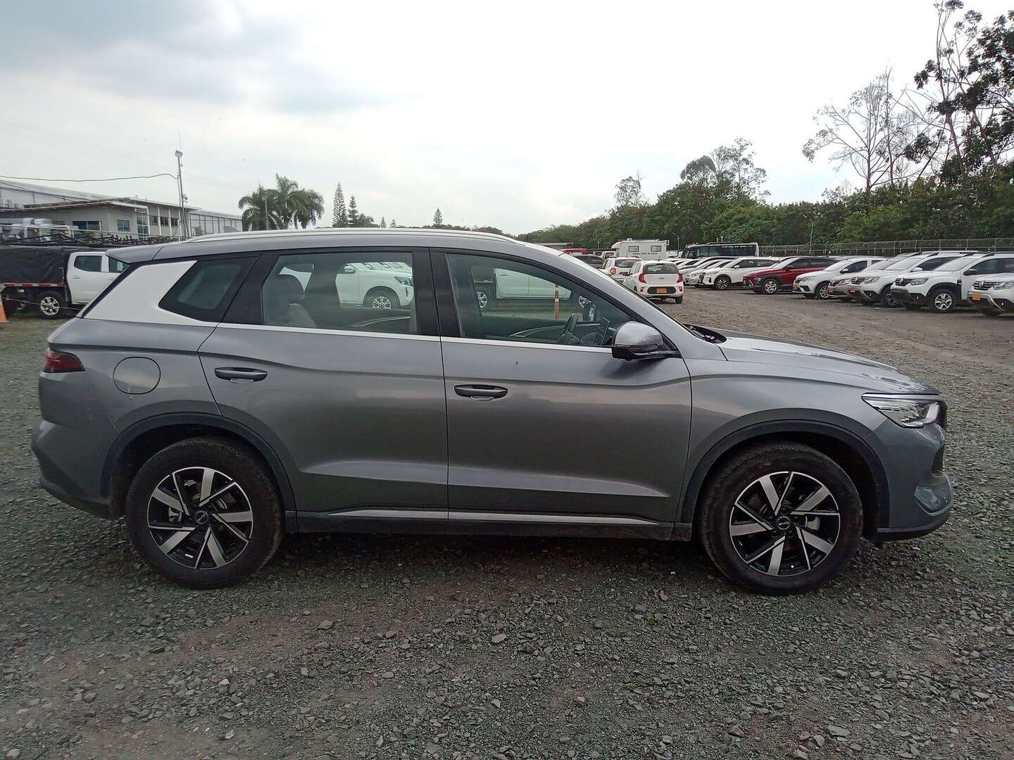 BYD - Song - 2025