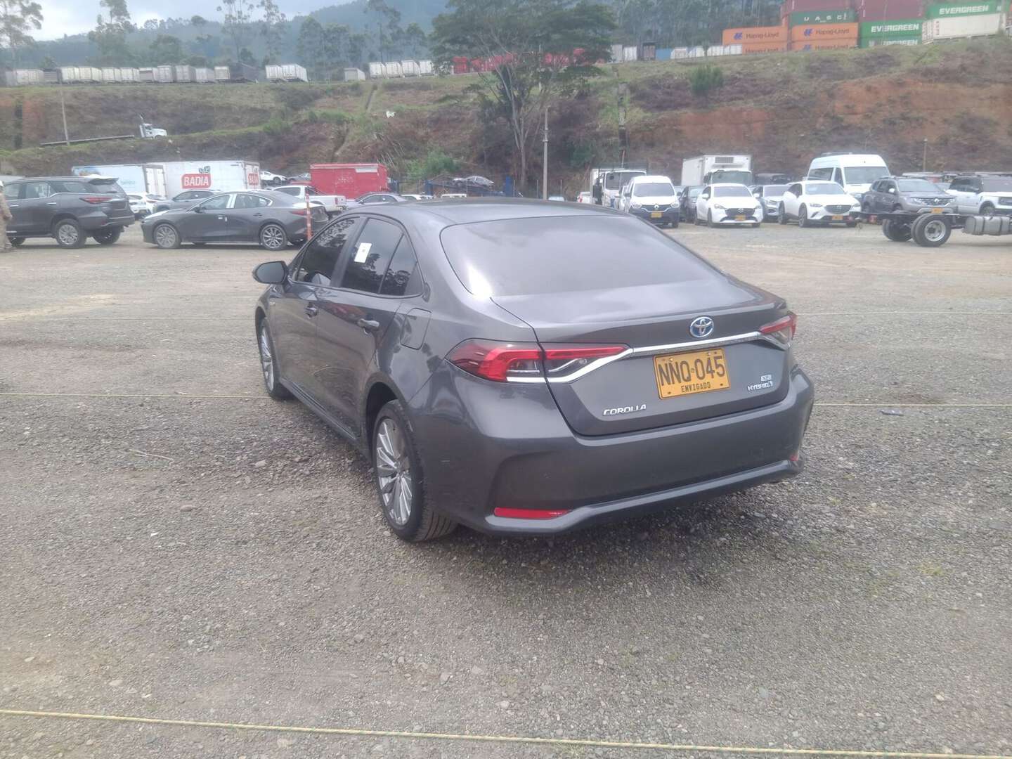 Toyota - Corolla - 2024
