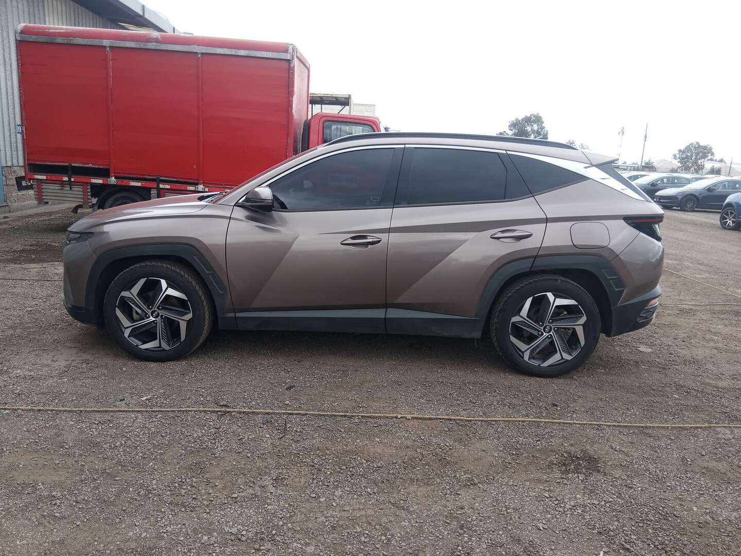 Hyundai - Tucson - 2024
