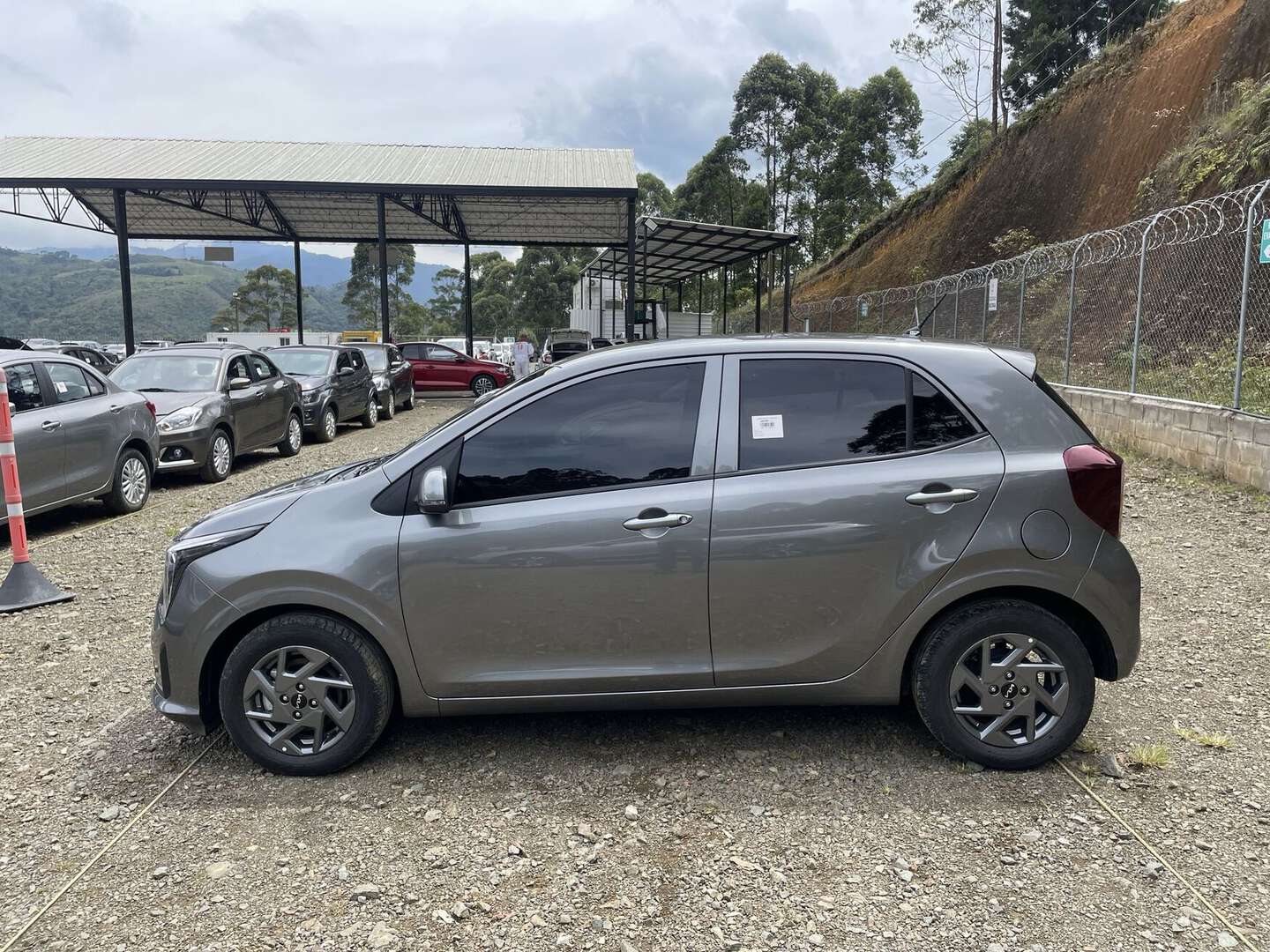 Kia - Picanto - 2025