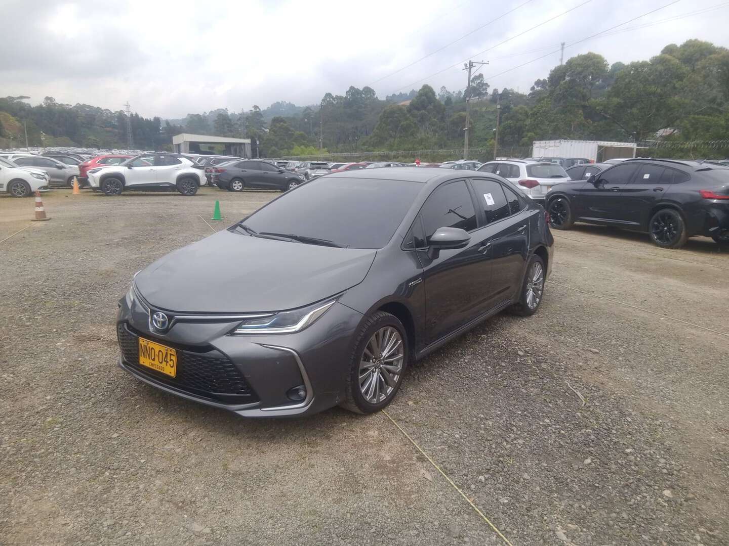Toyota - Corolla - 2024