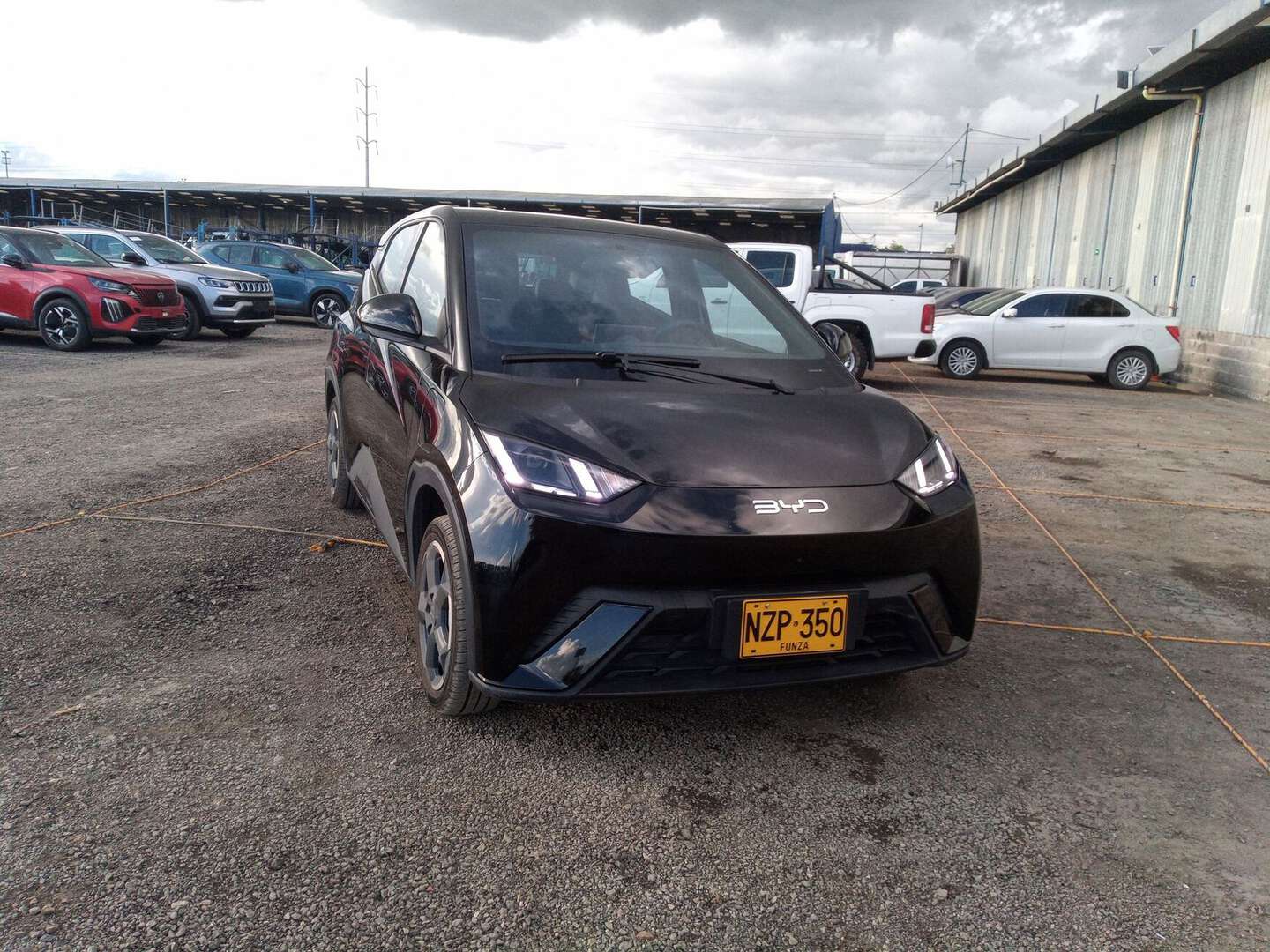 BYD - SEAGULL - 2025