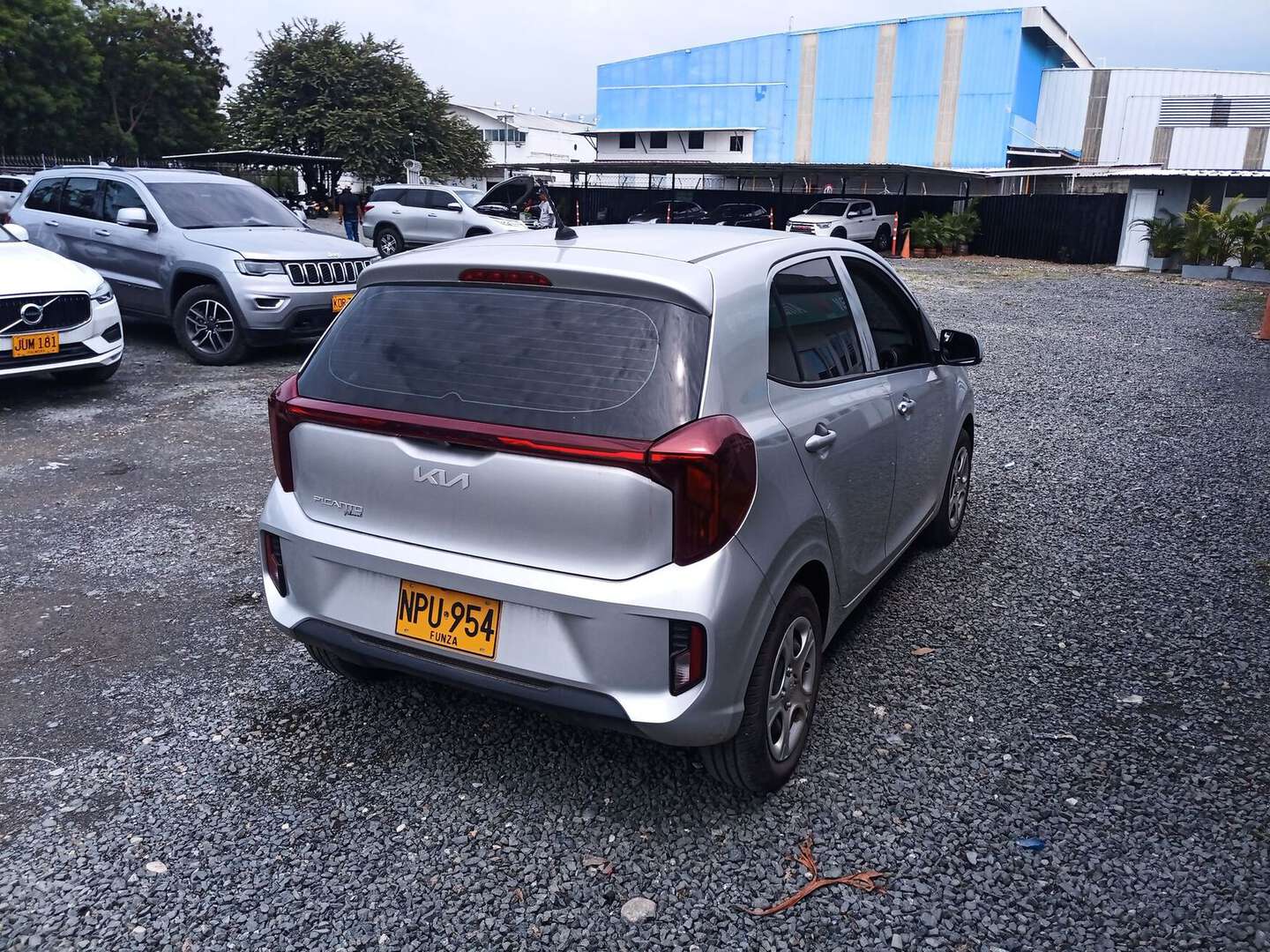 Kia - Picanto - 2025