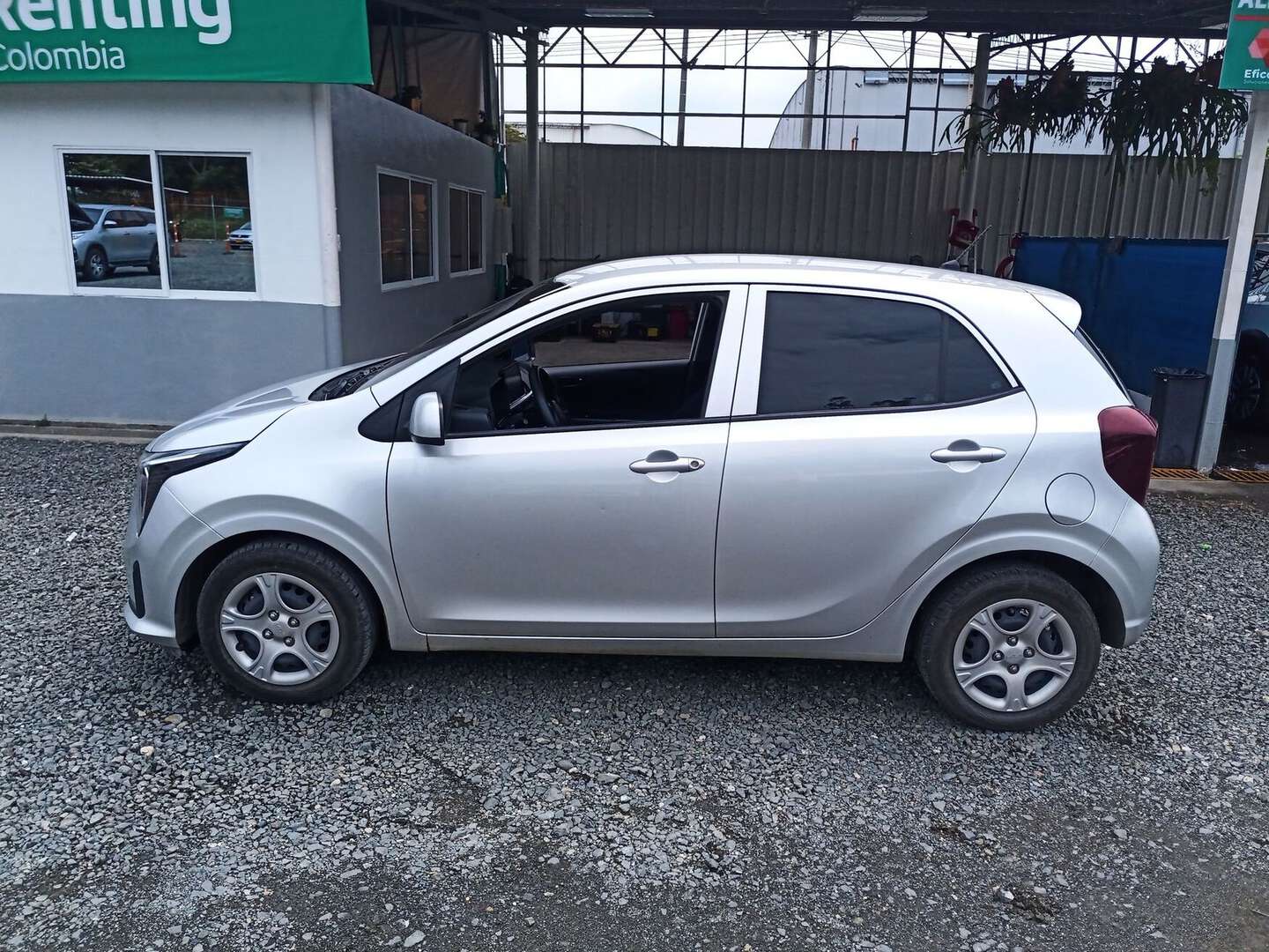 Kia - Picanto - 2025