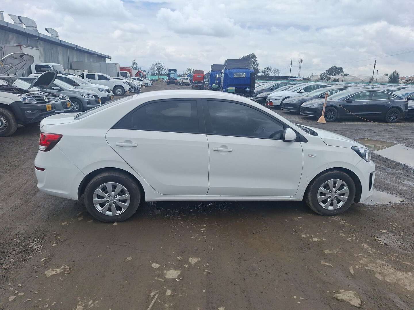 Kia - Soluto - 2025