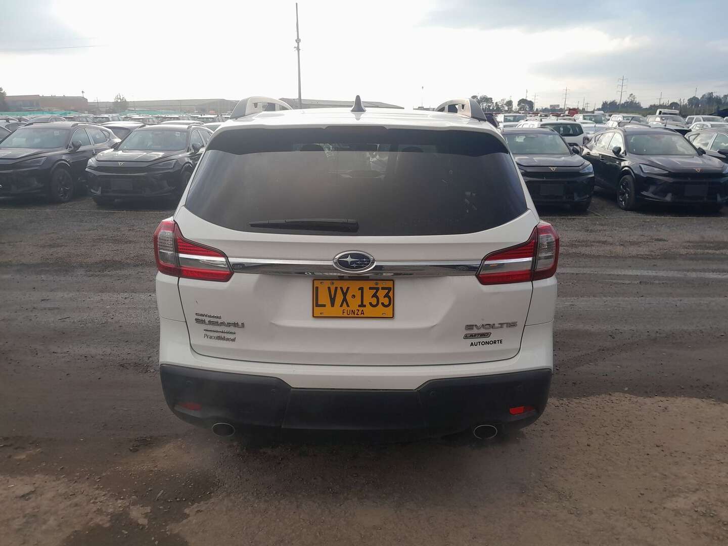 Subaru - Evoltis - 2022