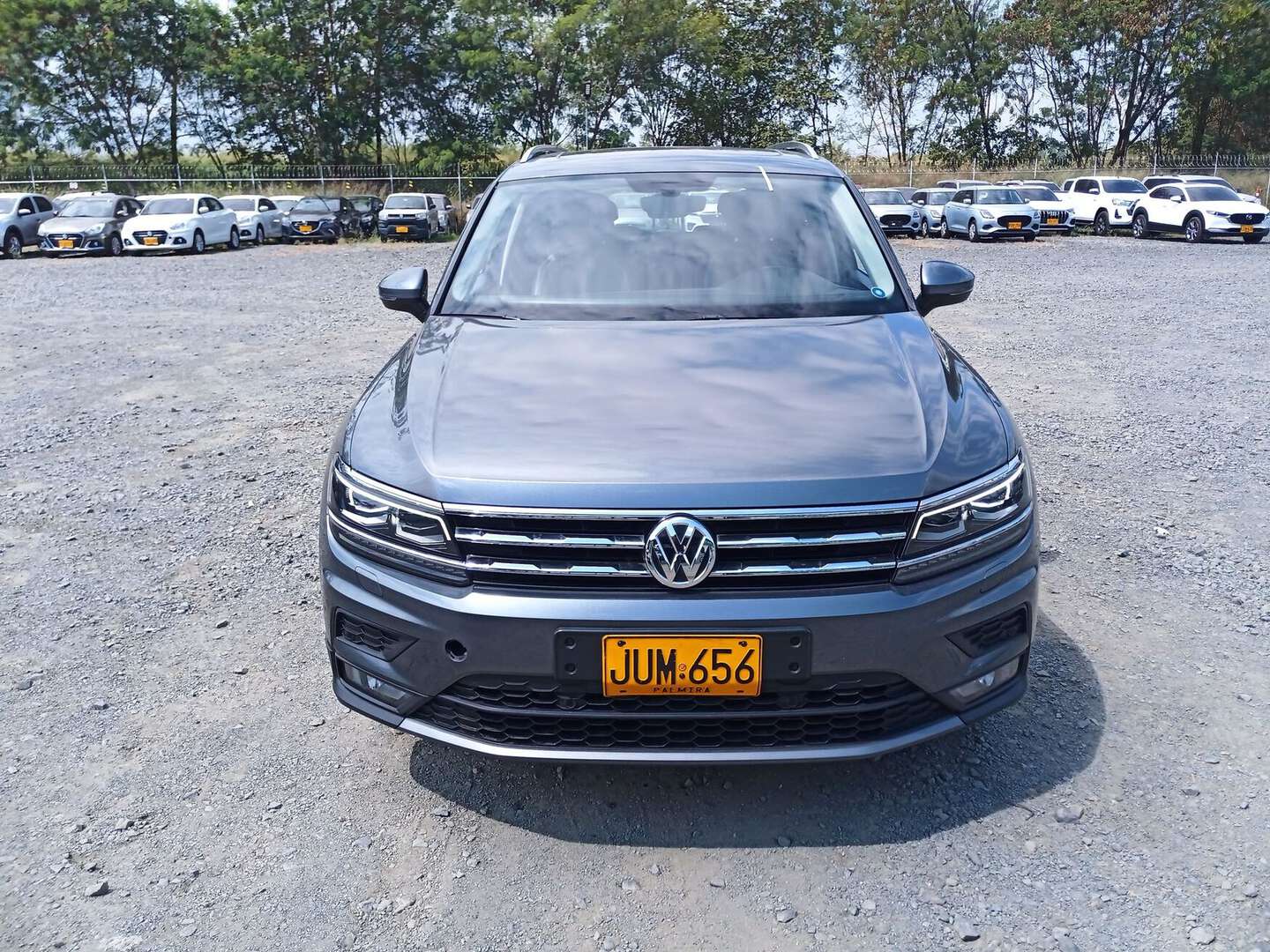 Volkswagen - Tiguan - 2020