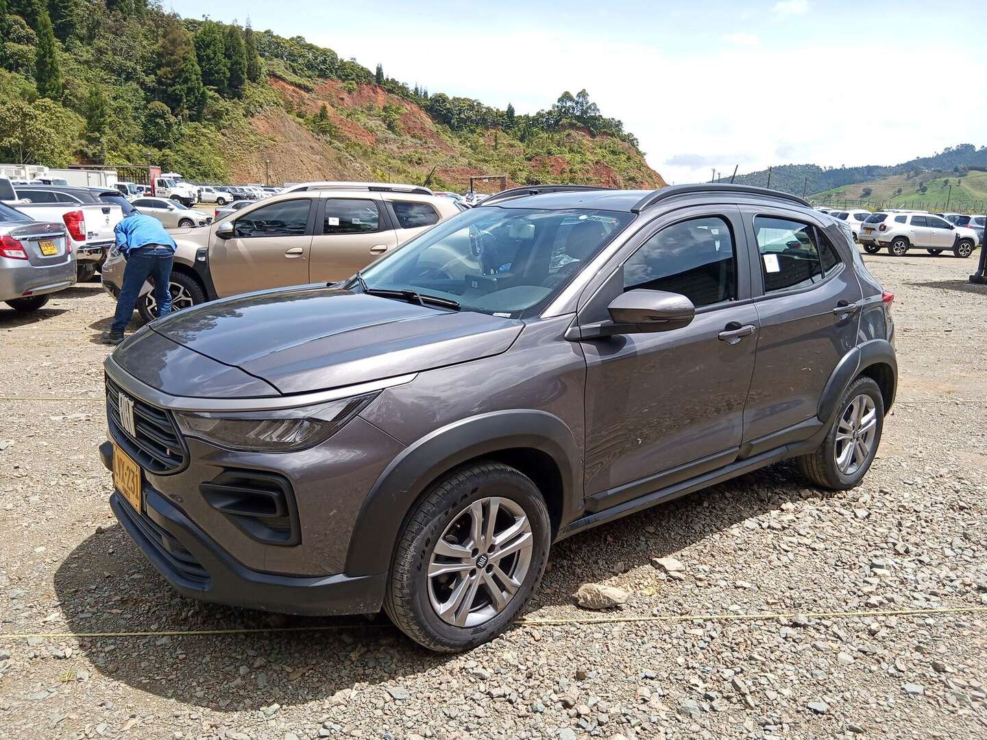 Fiat - PULSE - 2023