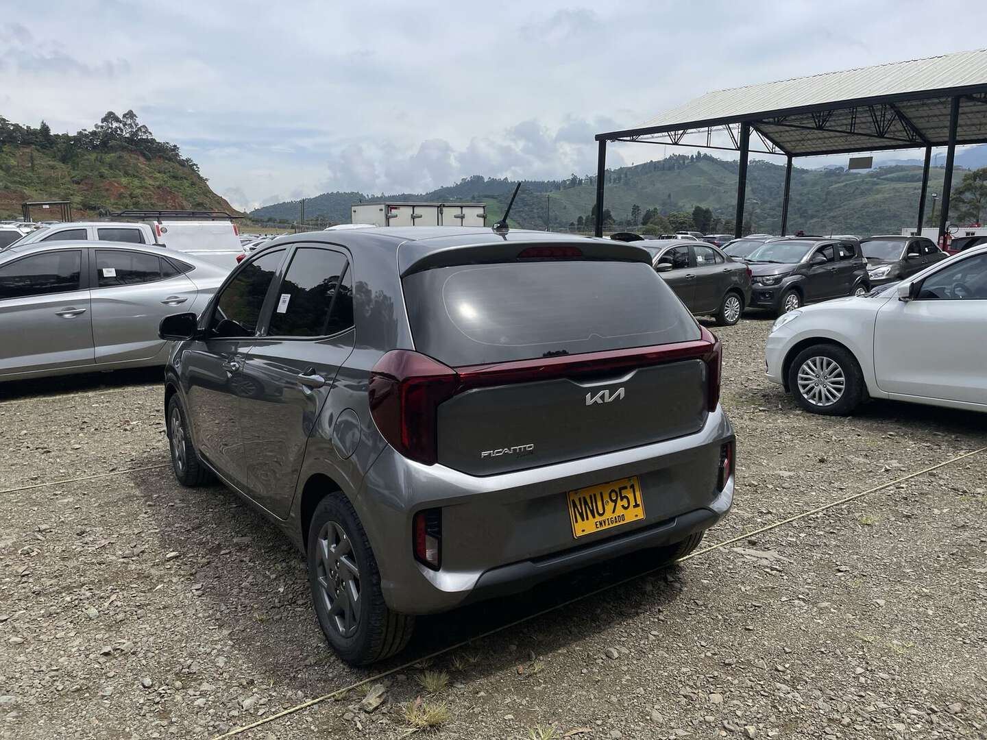 Kia - Picanto - 2025