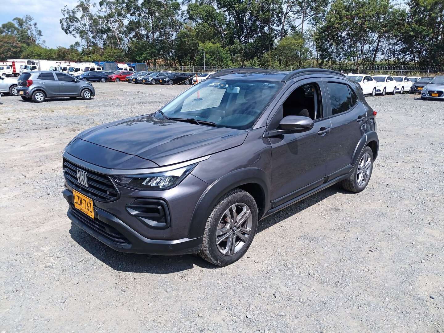 Fiat - PULSE - 2023