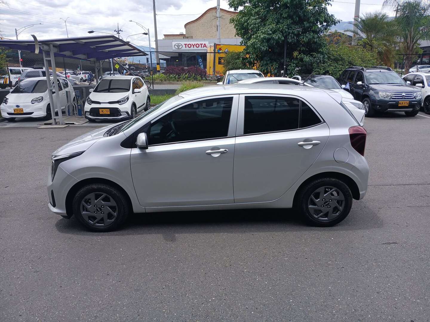 Kia - Picanto - 2025