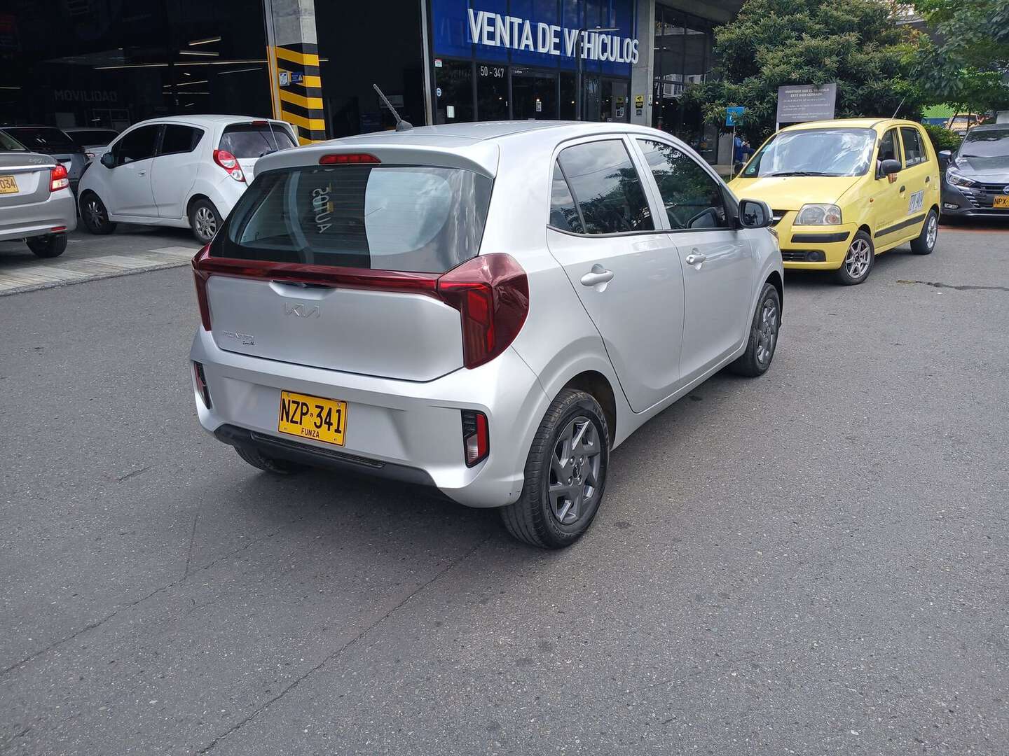 Kia - Picanto - 2025