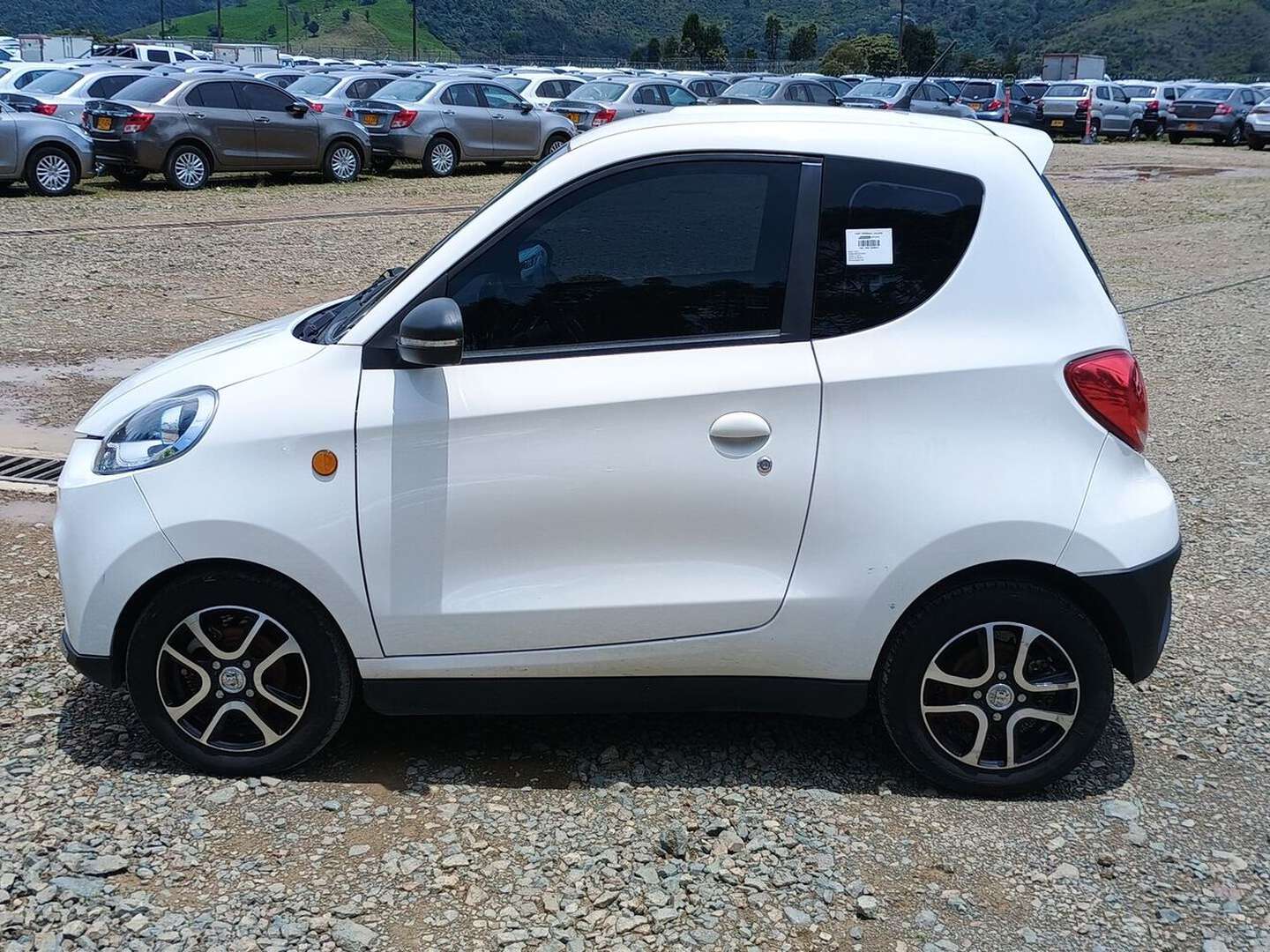 Stärk - Zhidou D2S - 2022