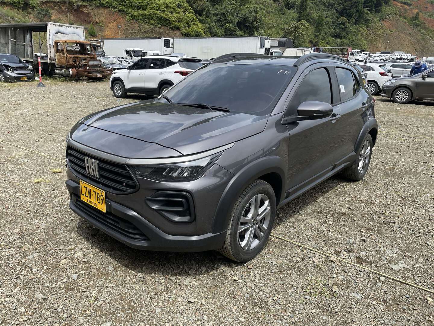 Fiat - PULSE - 2023