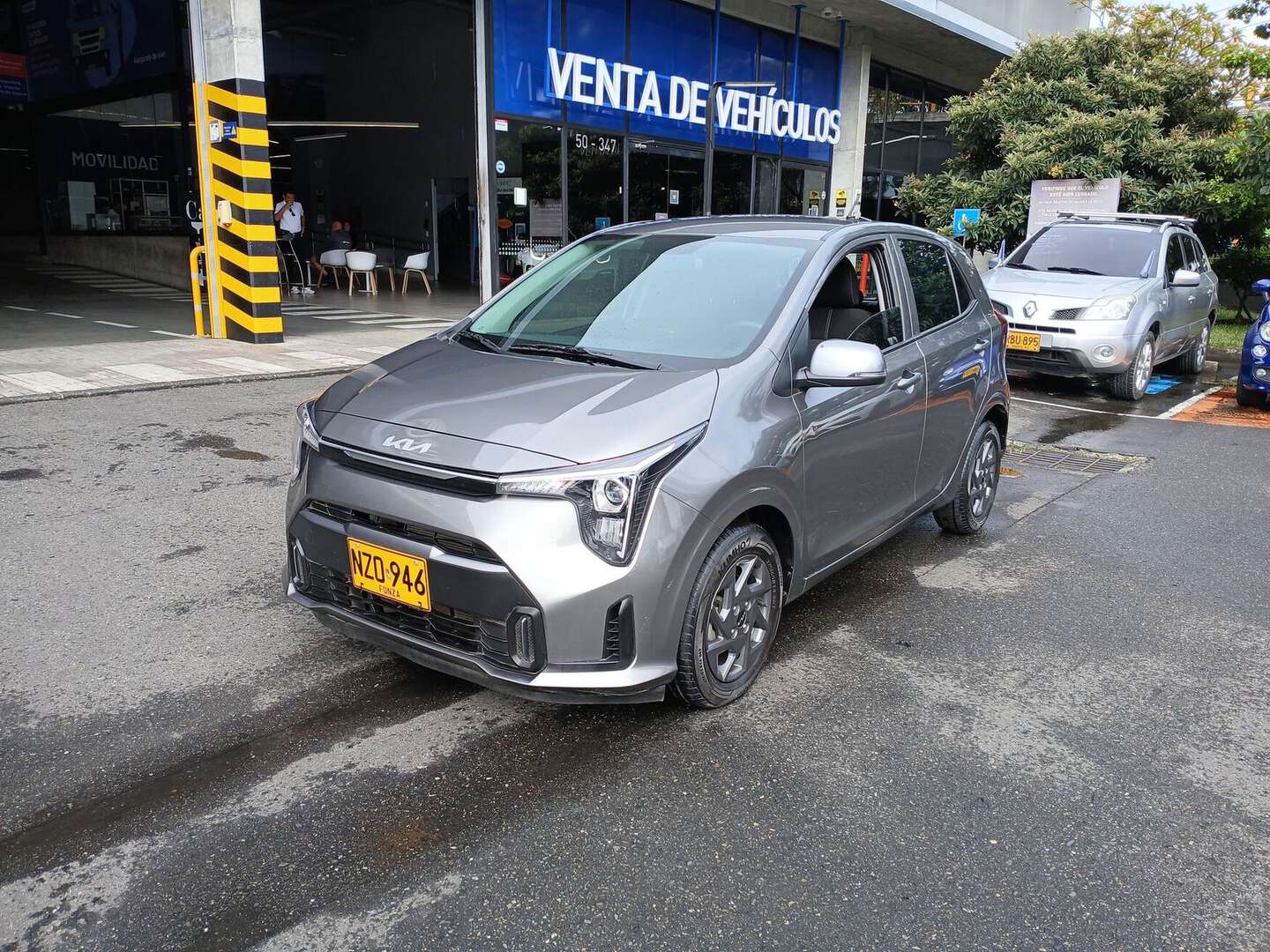 Kia - Picanto - 2025