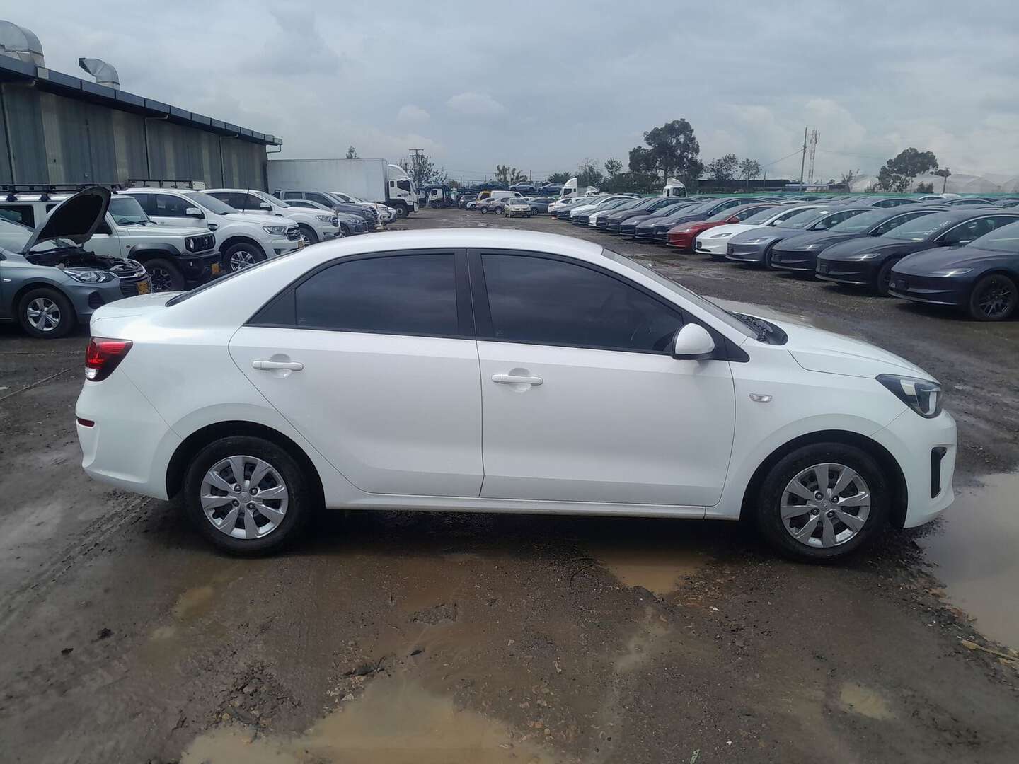 Kia - Soluto - 2025