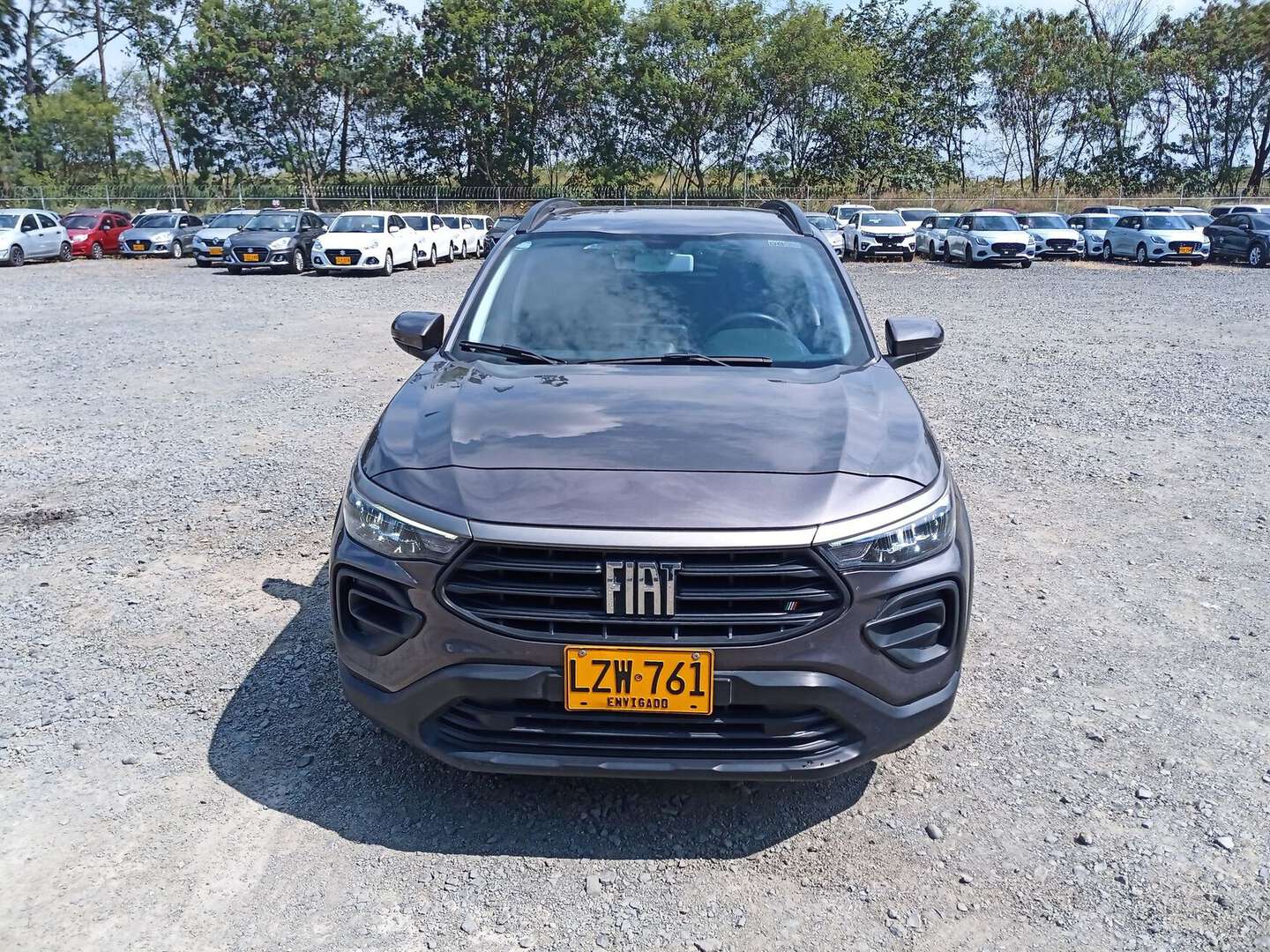 Fiat - PULSE - 2023