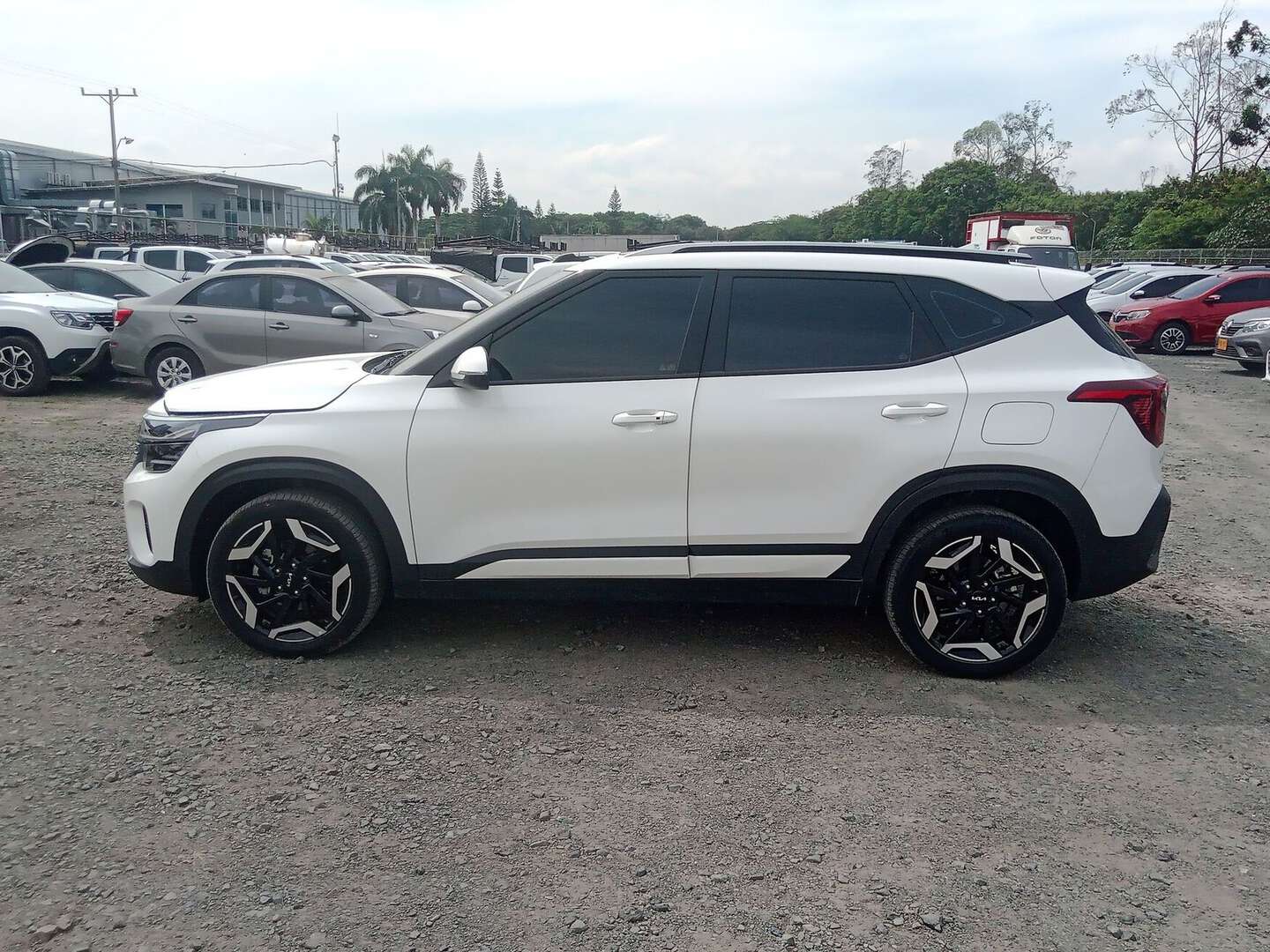 Kia - Seltos - 2025