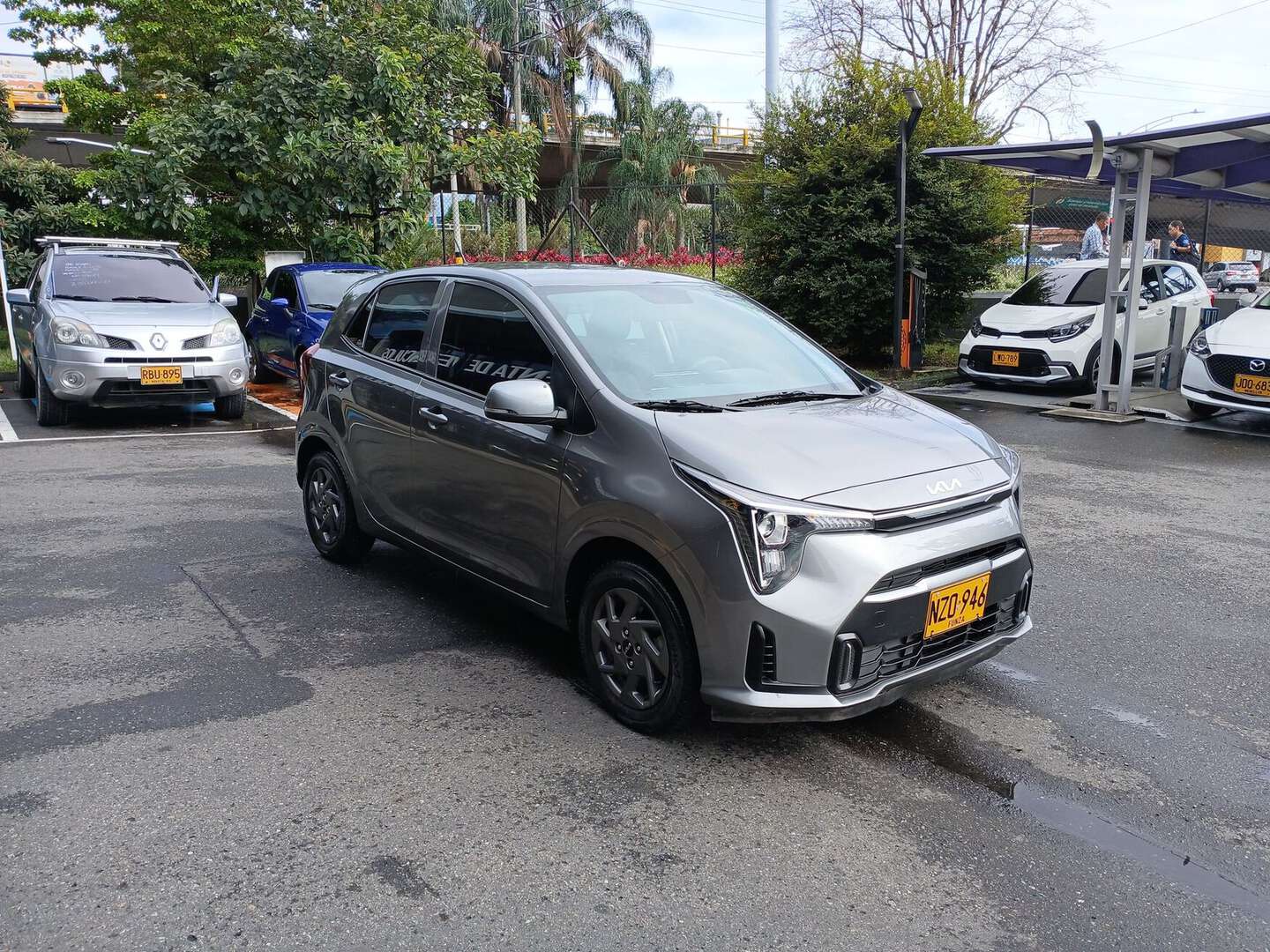 Kia - Picanto - 2025