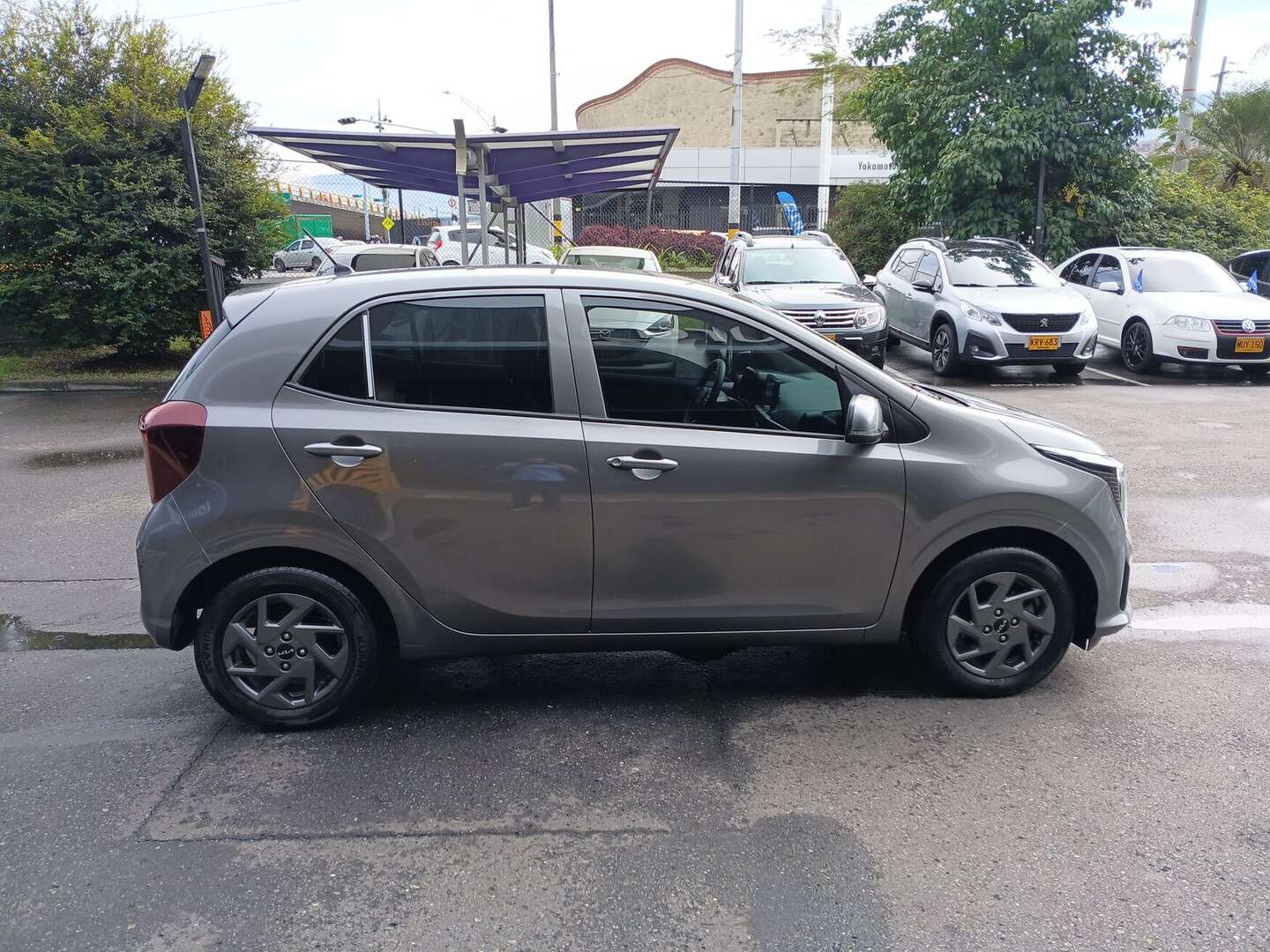 Kia - Picanto - 2025
