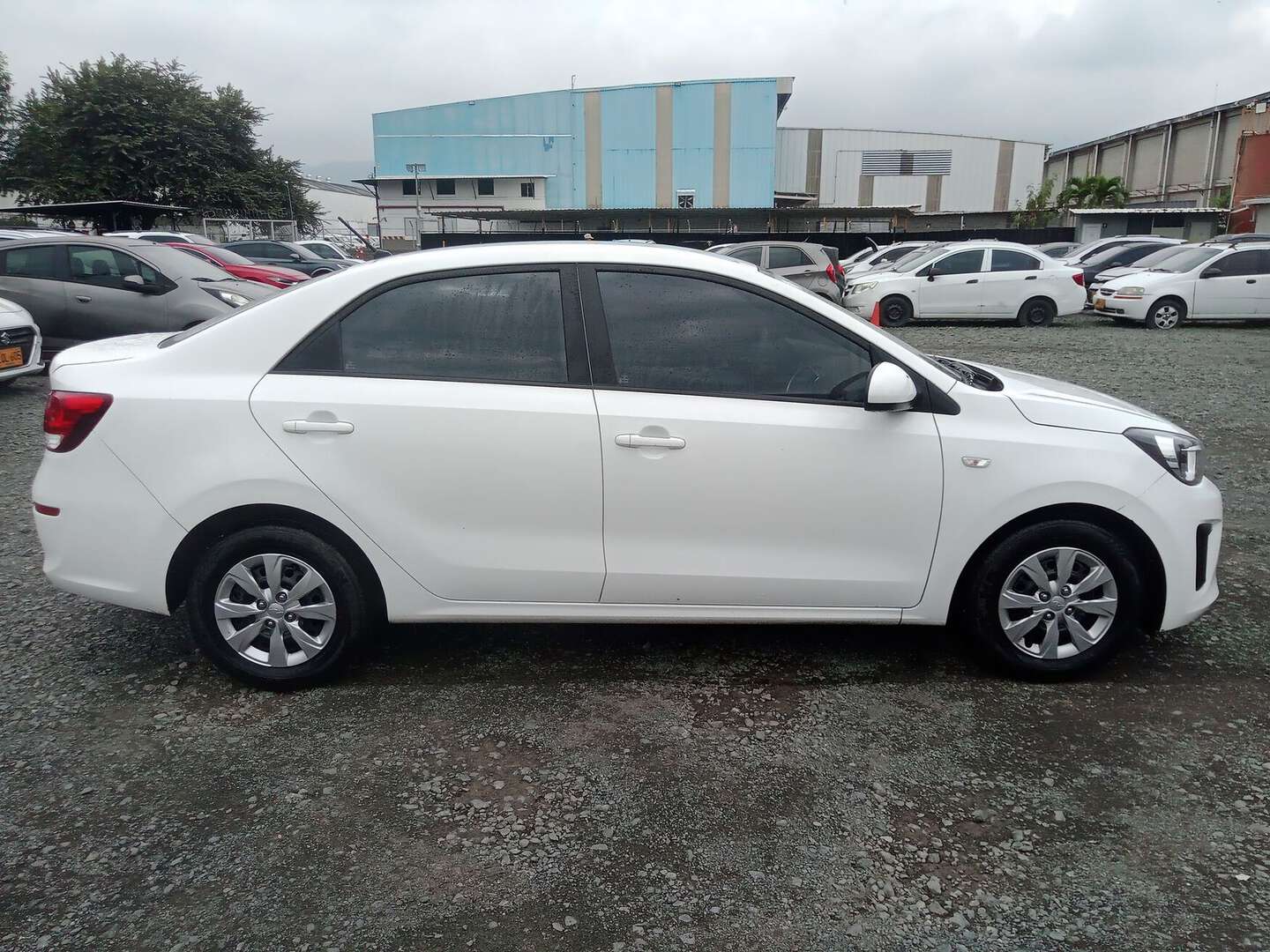Kia - Soluto - 2026