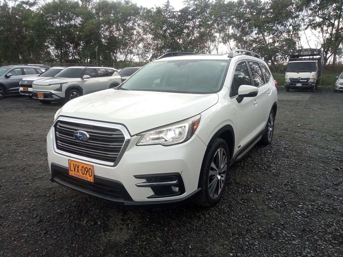 Subaru - Evoltis - 2022