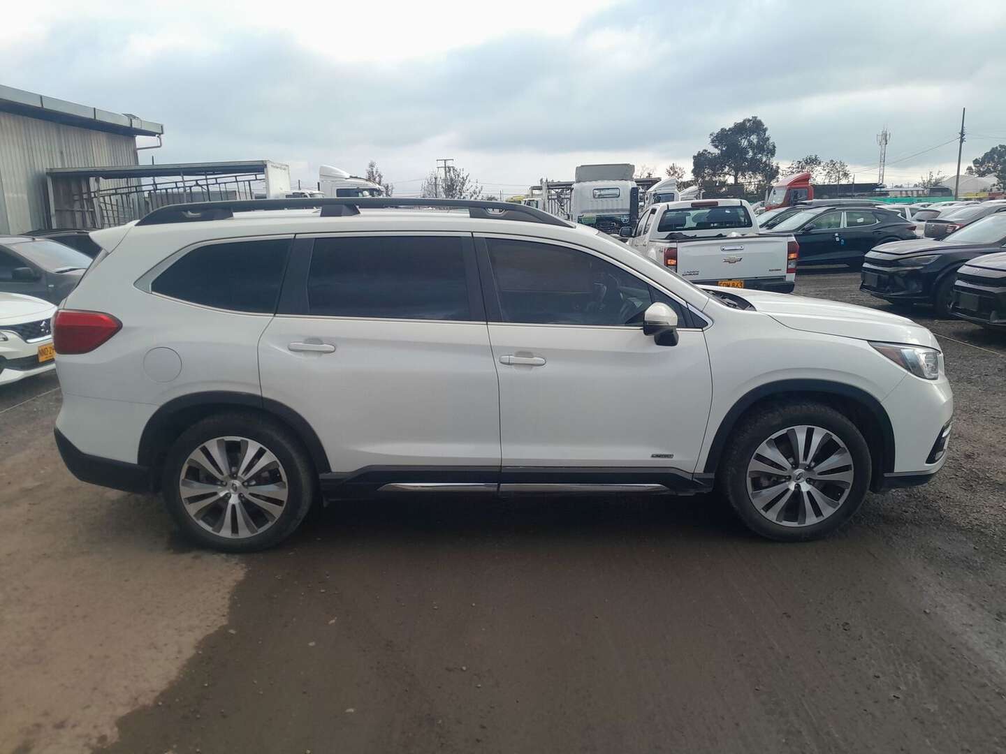 Subaru - Evoltis - 2022