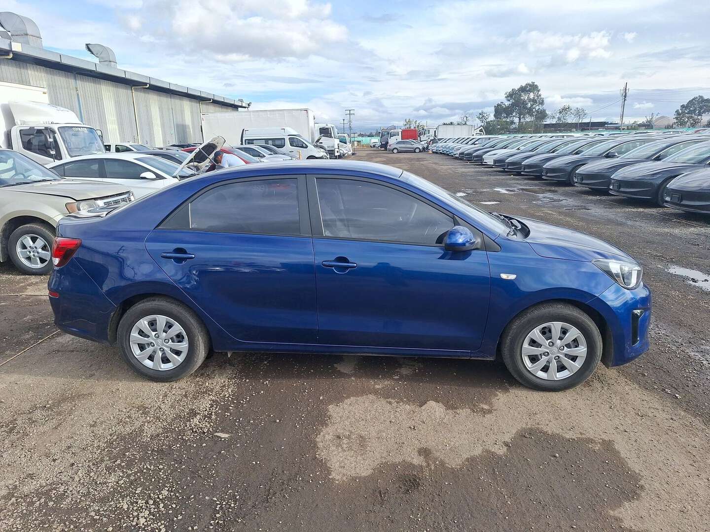 Kia - Soluto - 2026