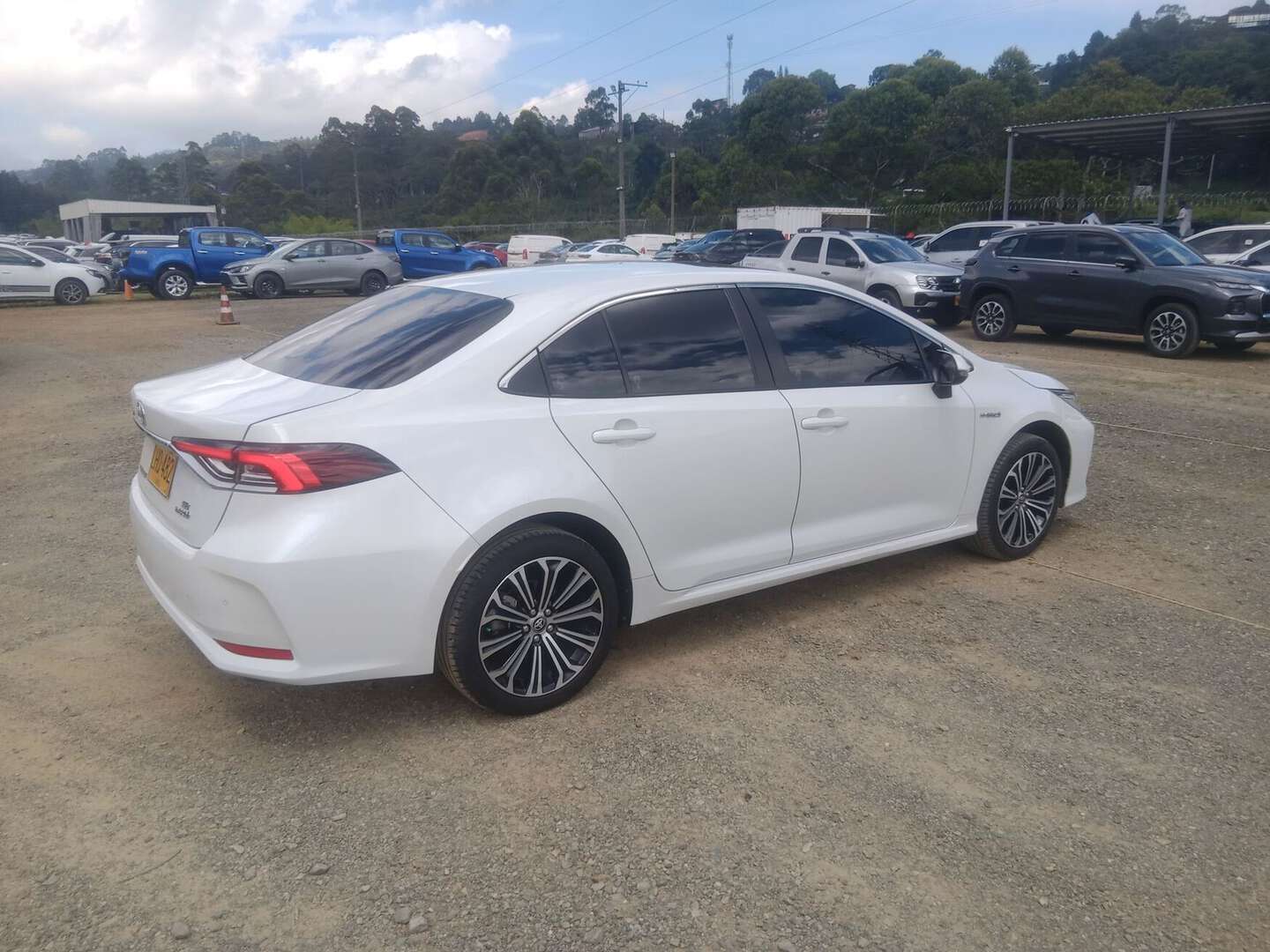 Toyota - Corolla - 2023