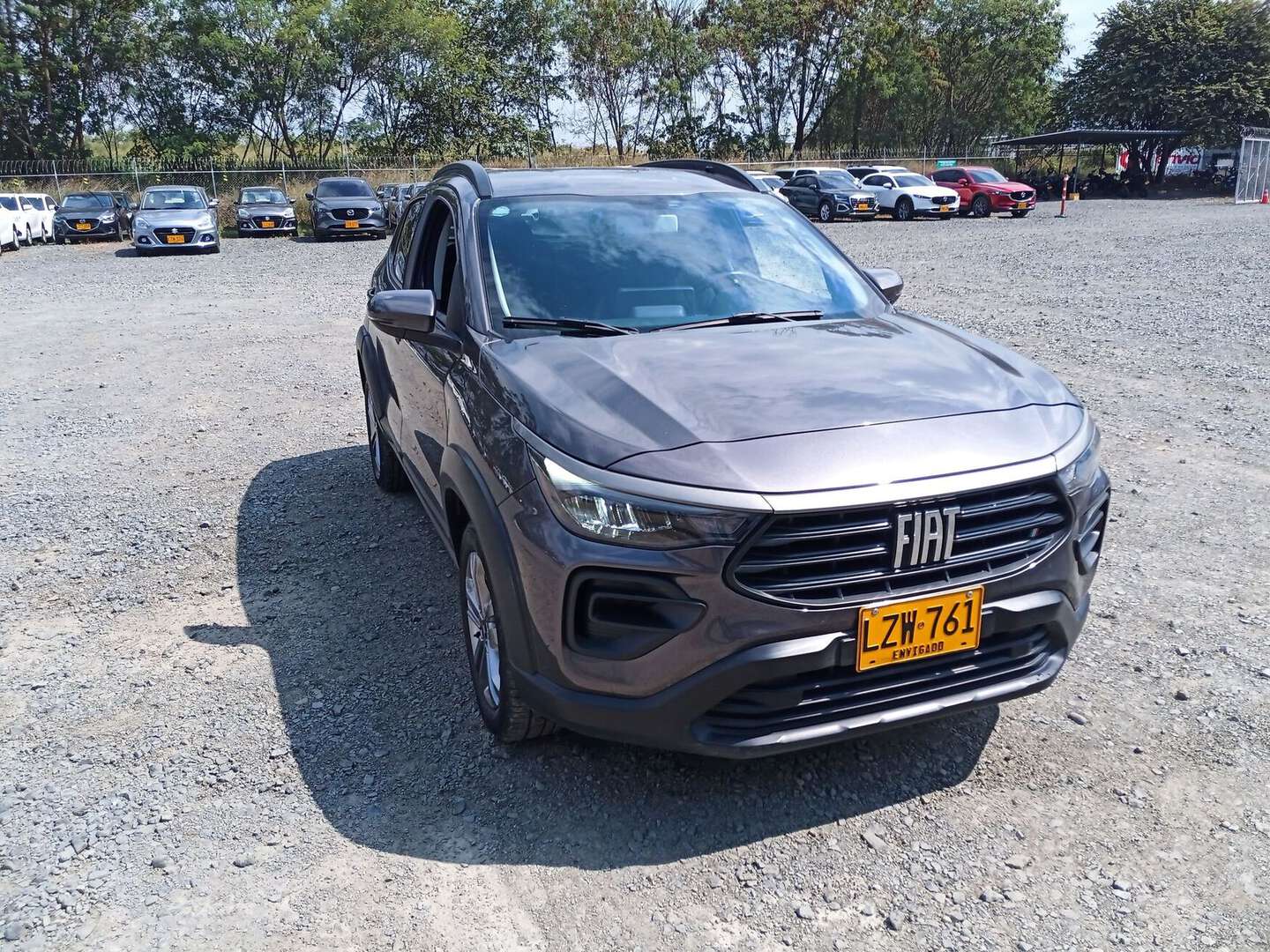 Fiat - PULSE - 2023