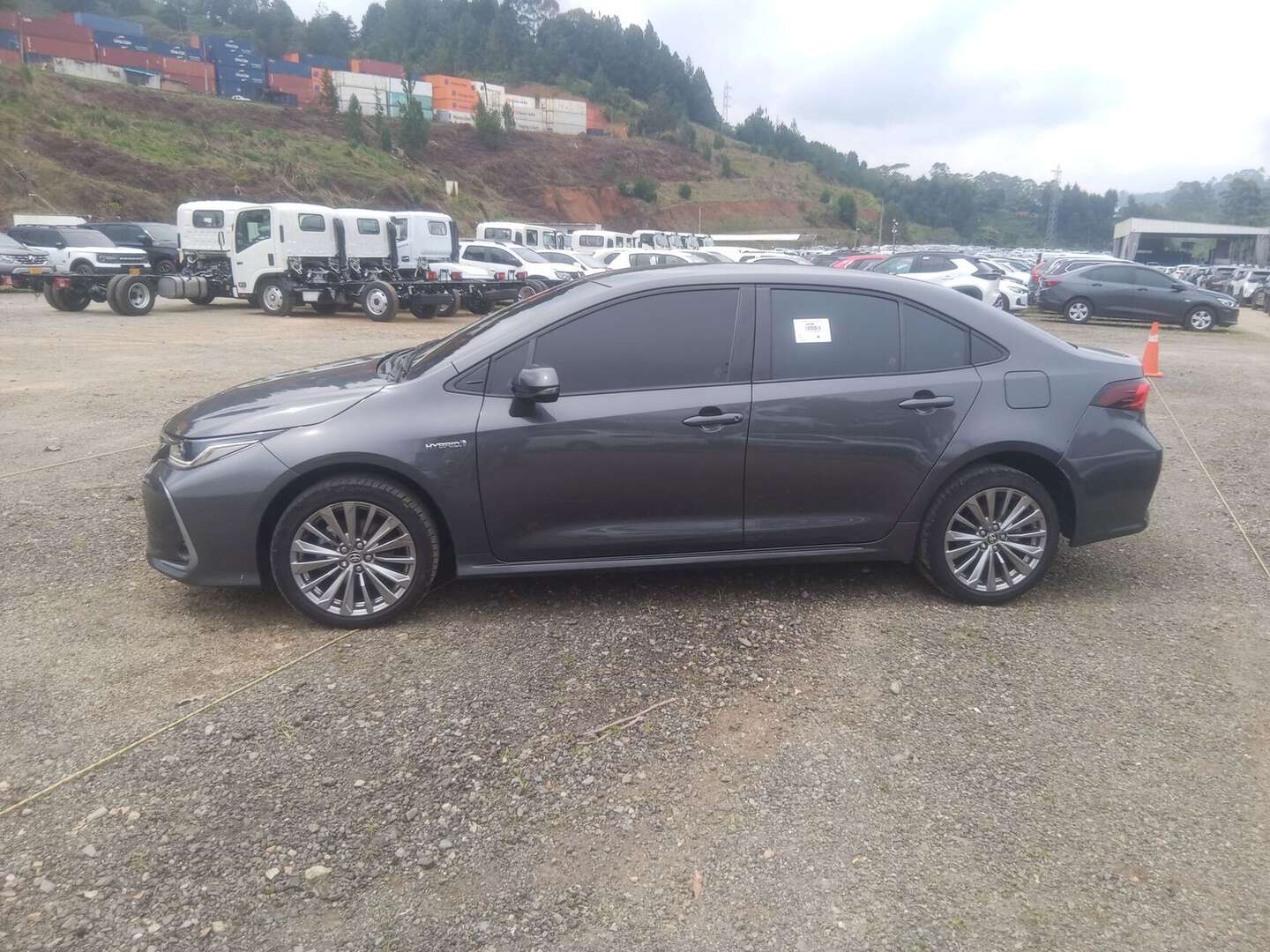 Toyota - Corolla - 2024