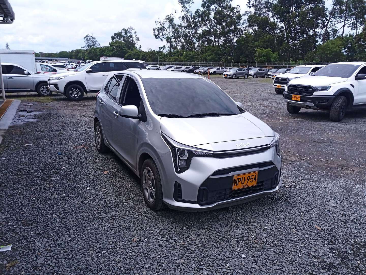 Kia - Picanto - 2025