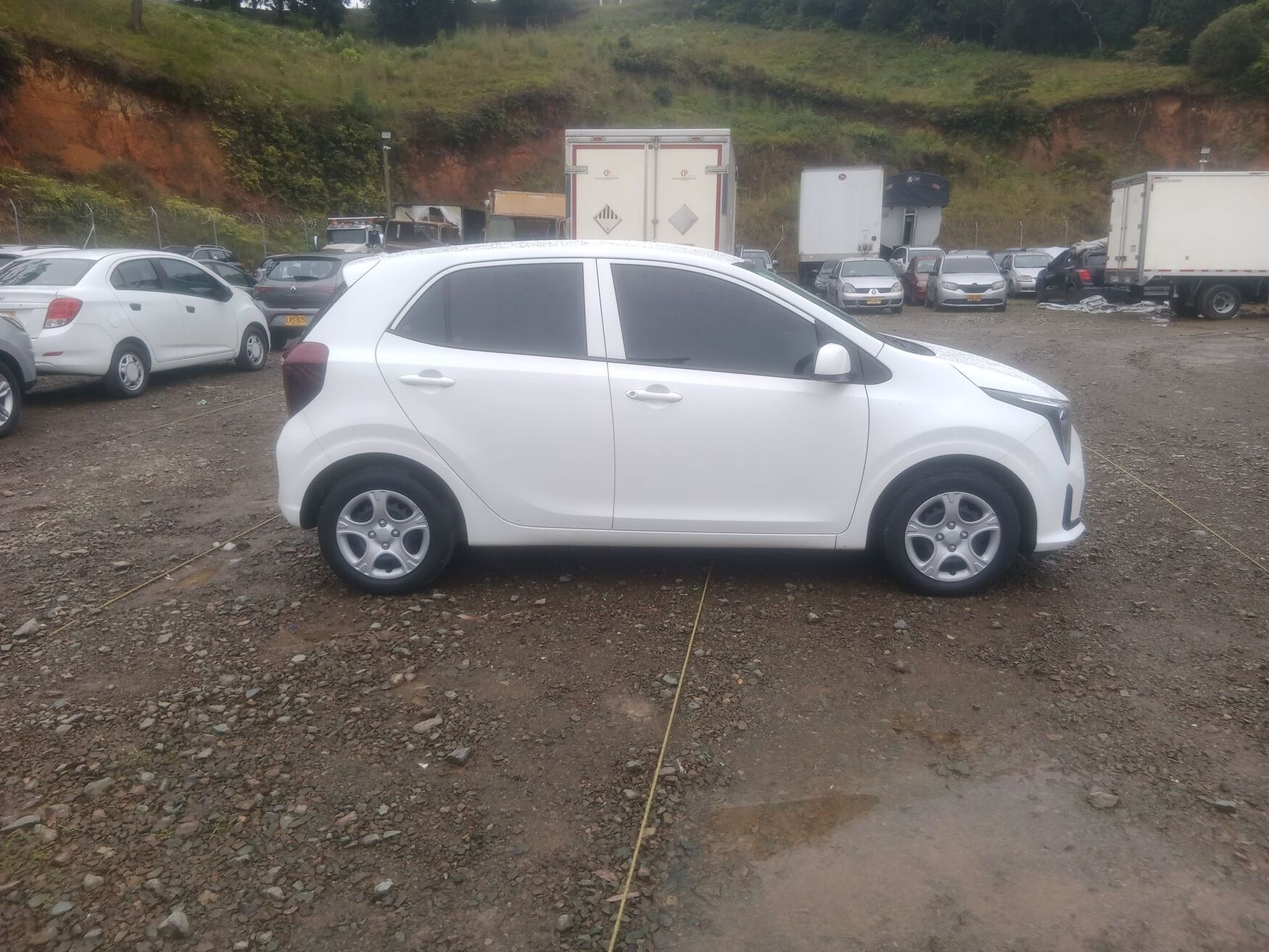 KIA PICANTO 2026