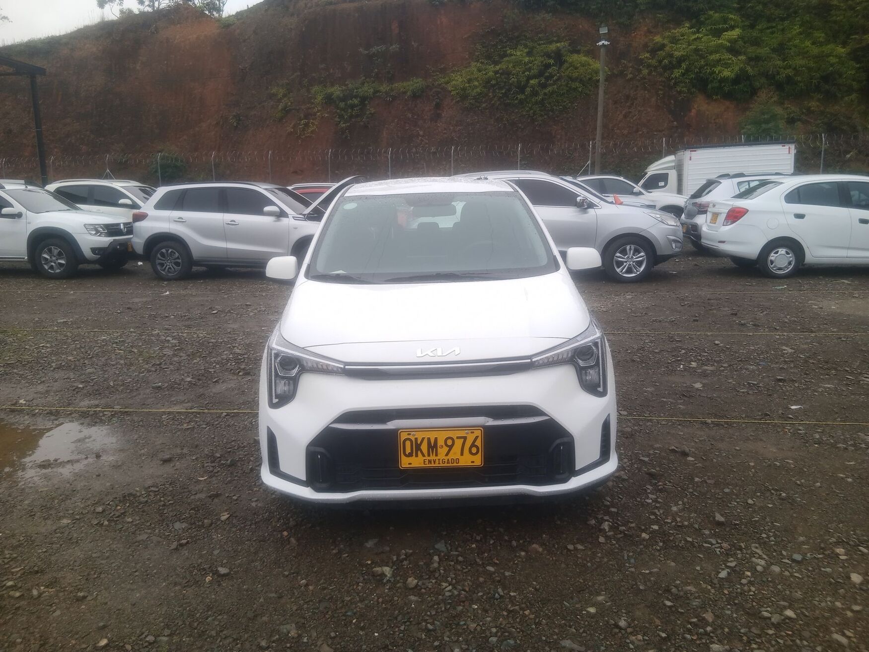 KIA PICANTO 2026