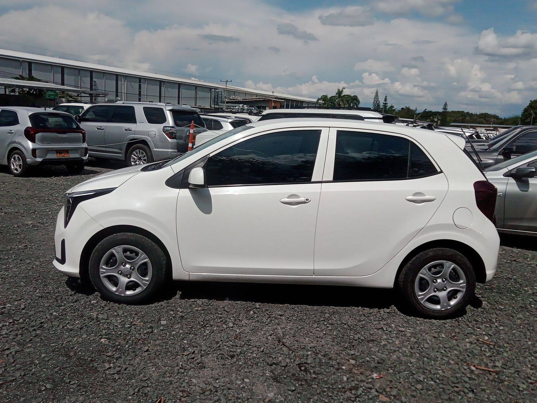 KIA PICANTO 2026