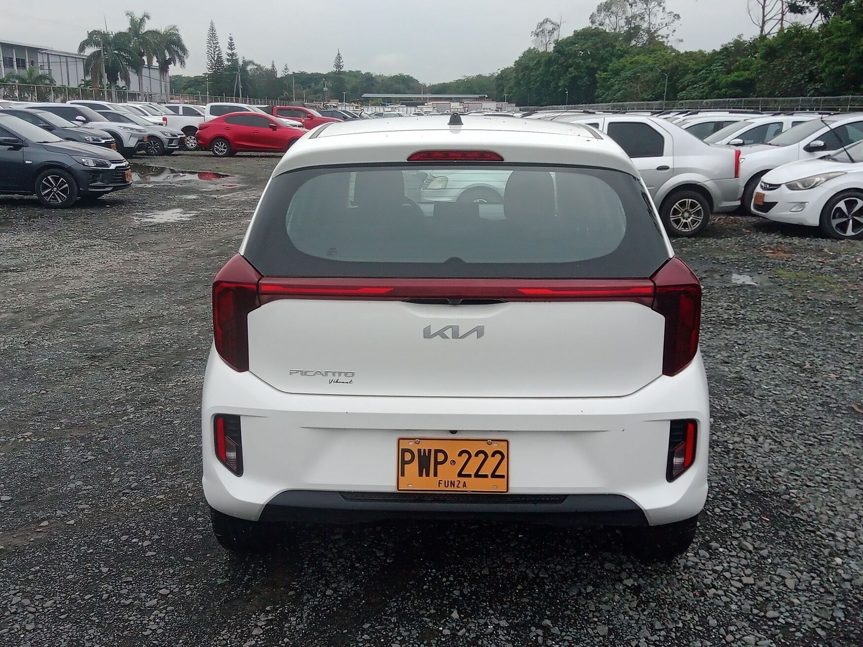 KIA PICANTO 2026