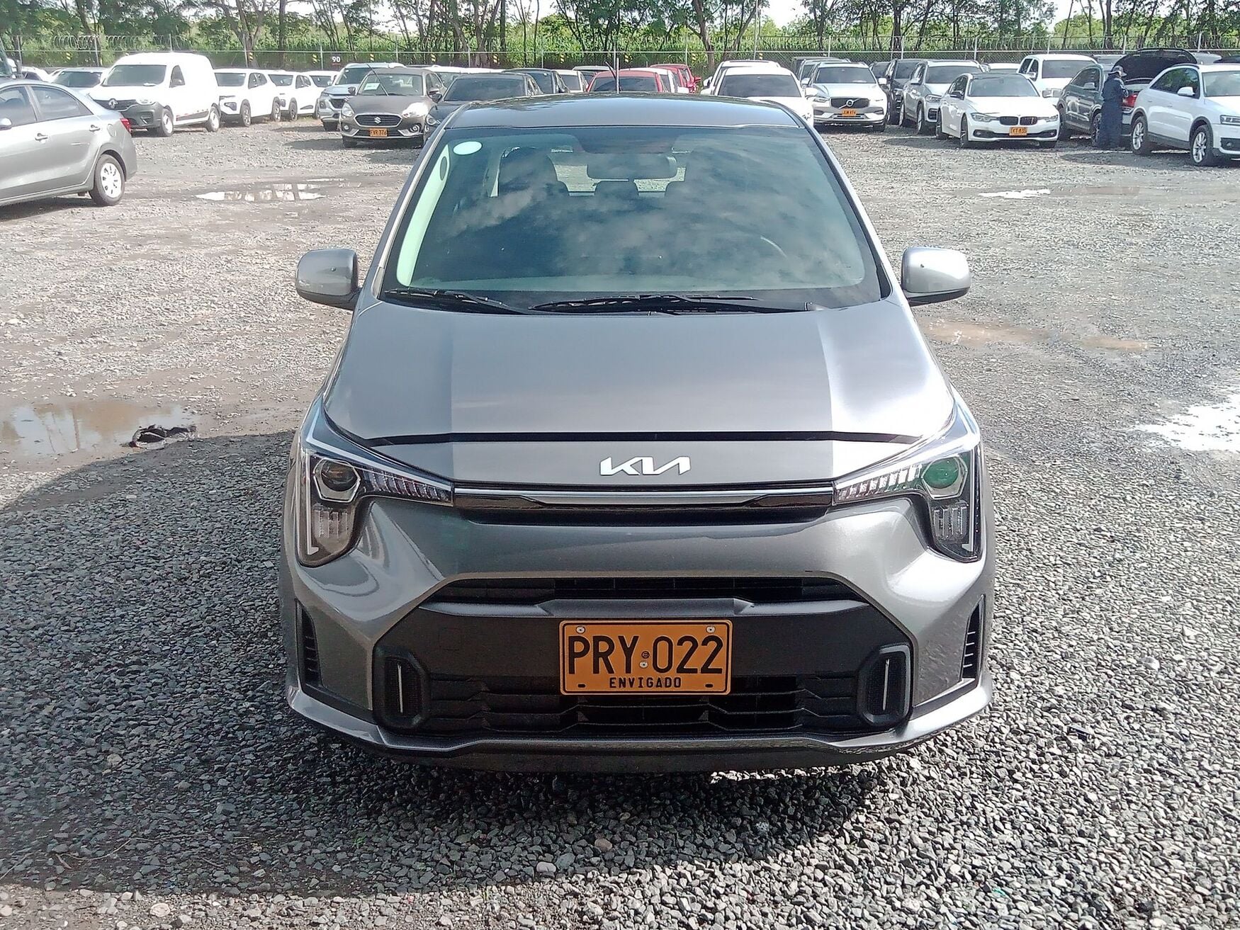 KIA PICANTO 2026